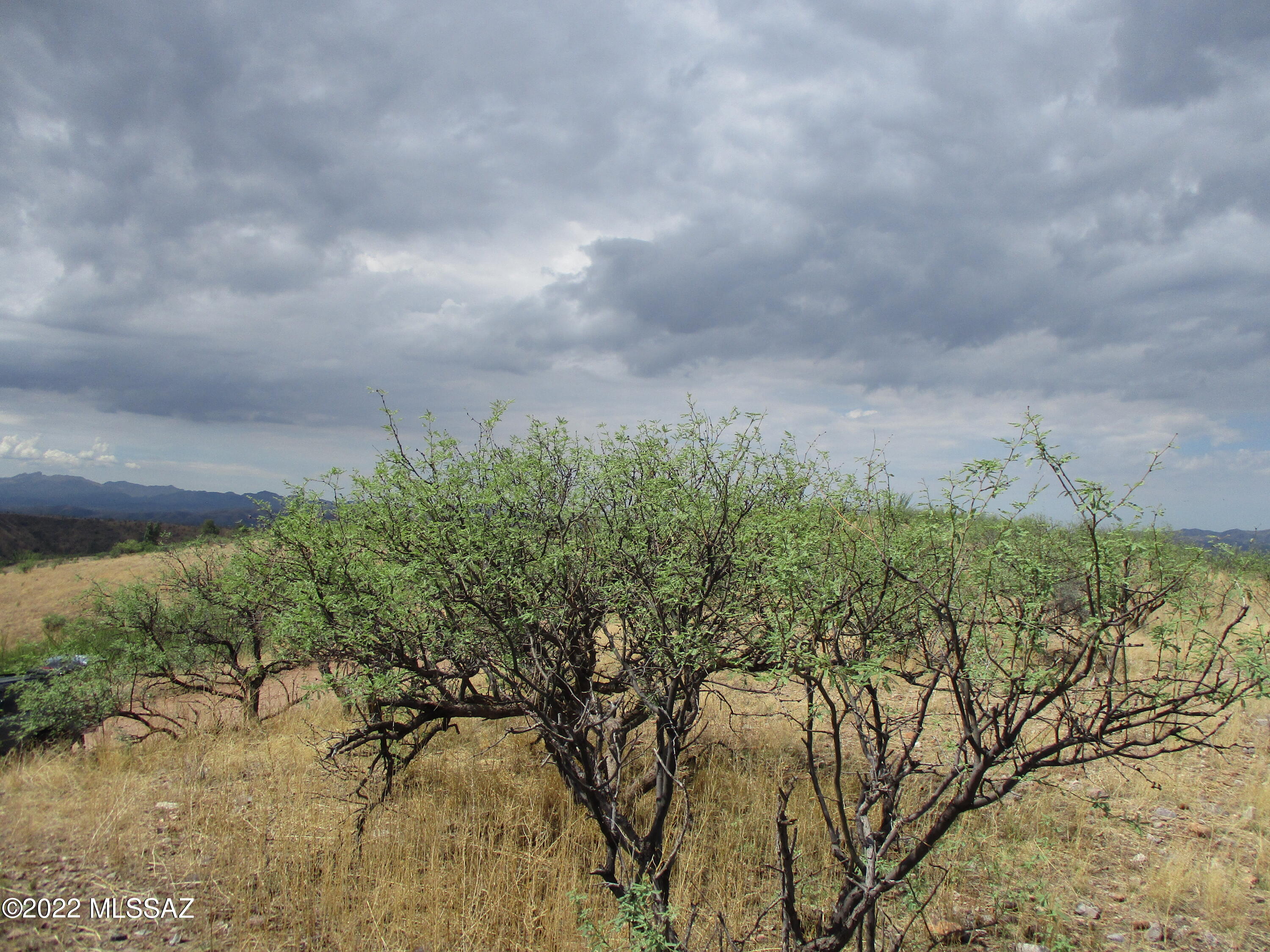 Lake Patagonia Ranch - Land