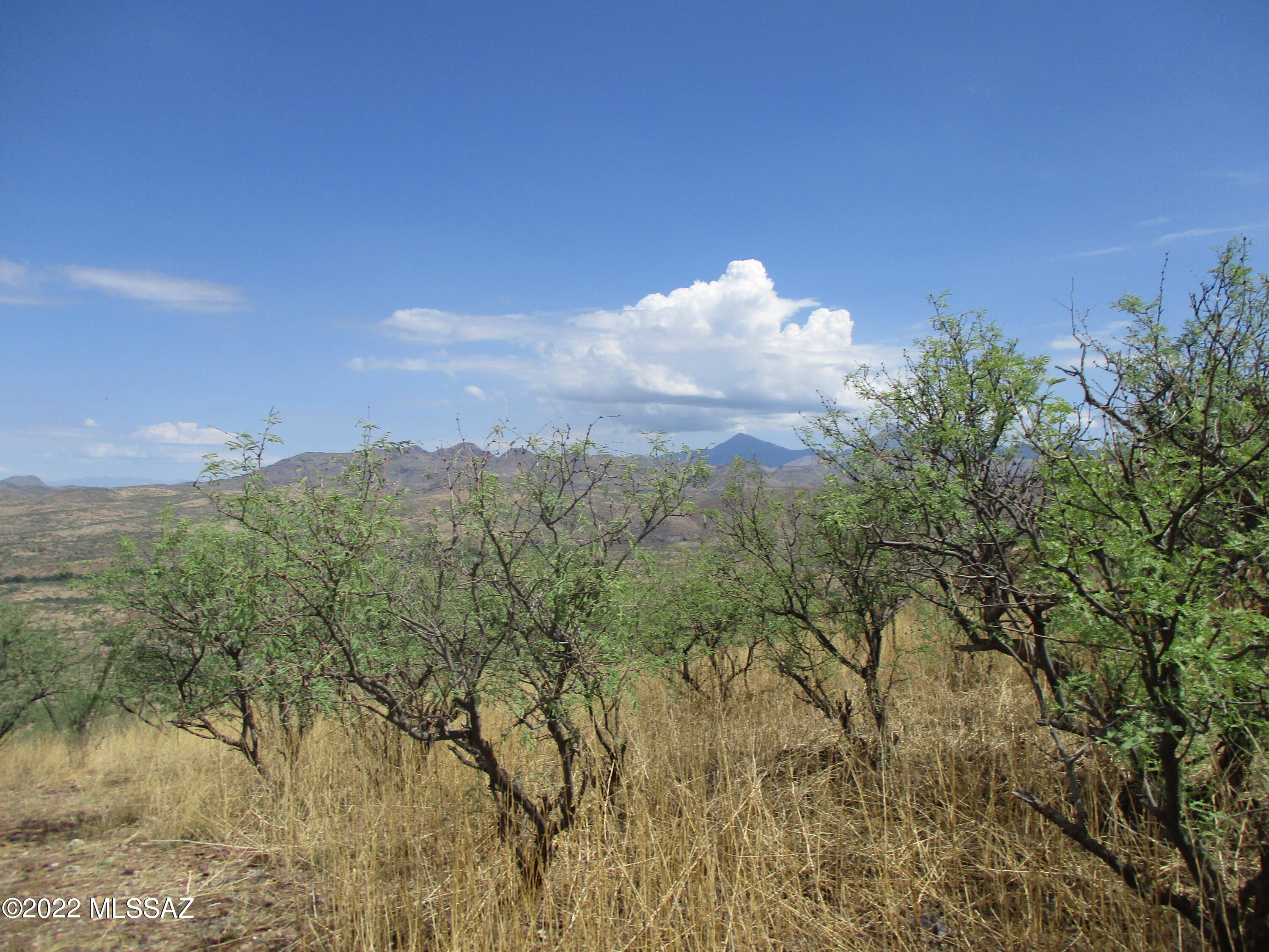 Lake Patagonia Ranch - Land