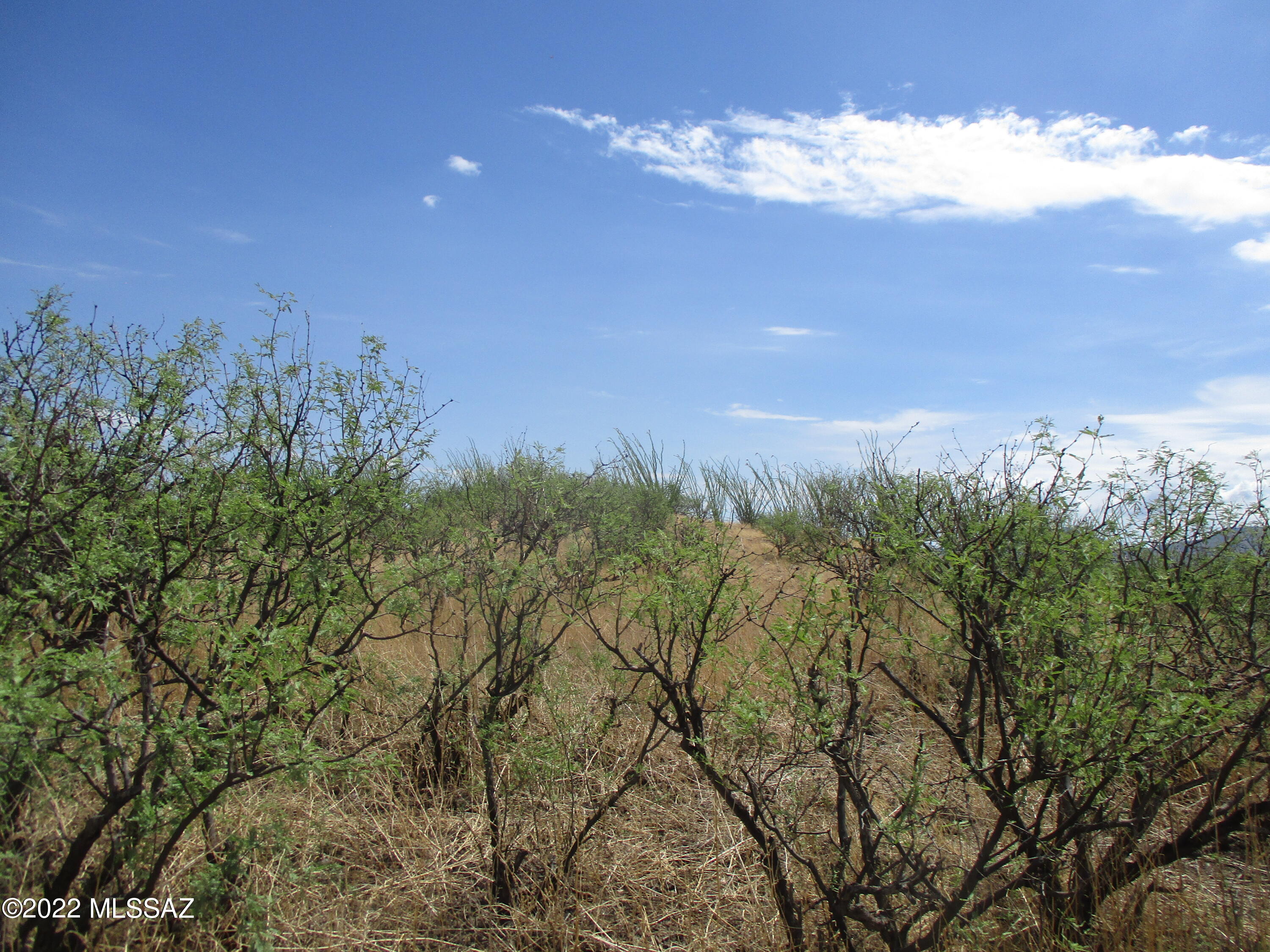 Lake Patagonia Ranch - Land