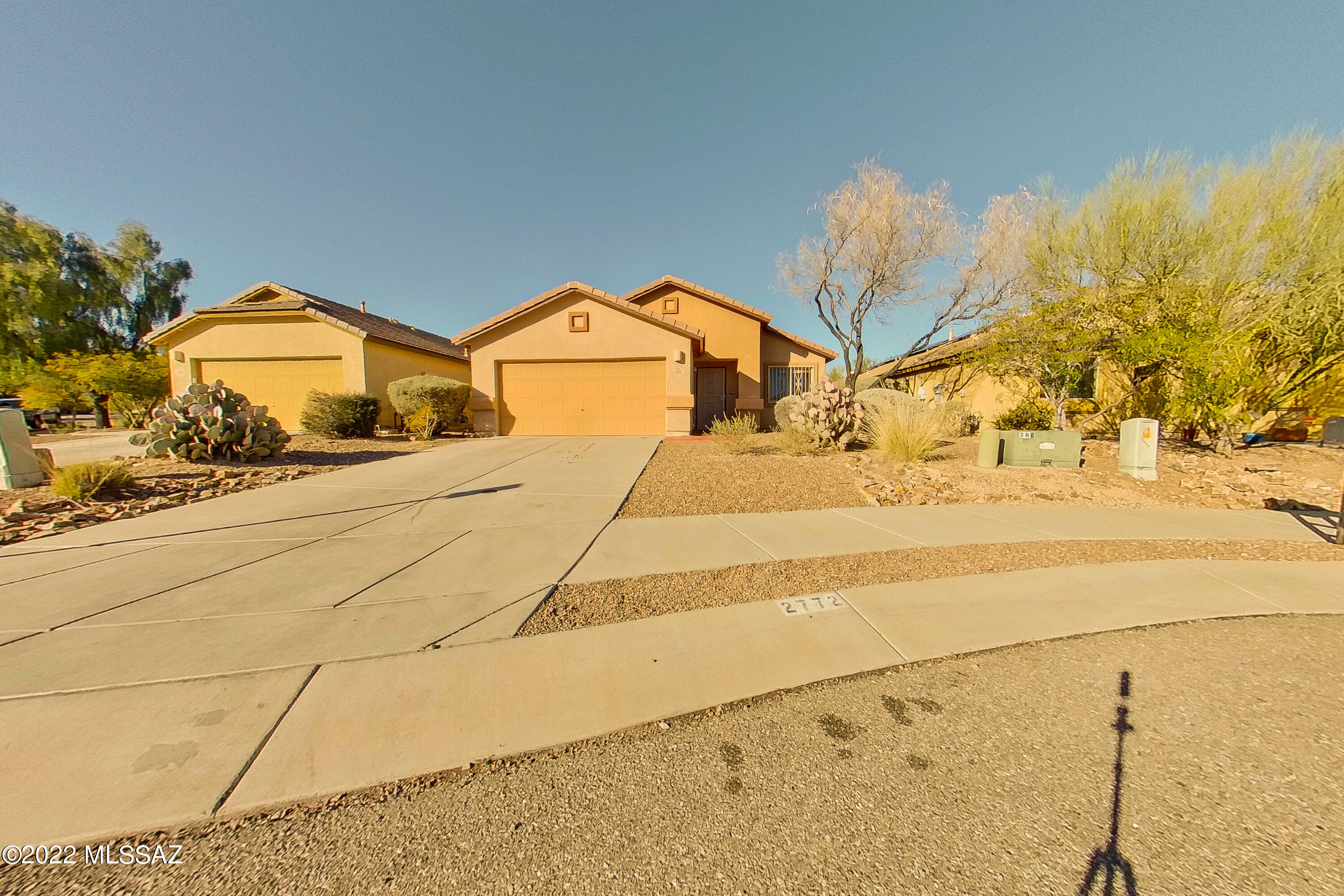 Sonoran Blossom - Residential