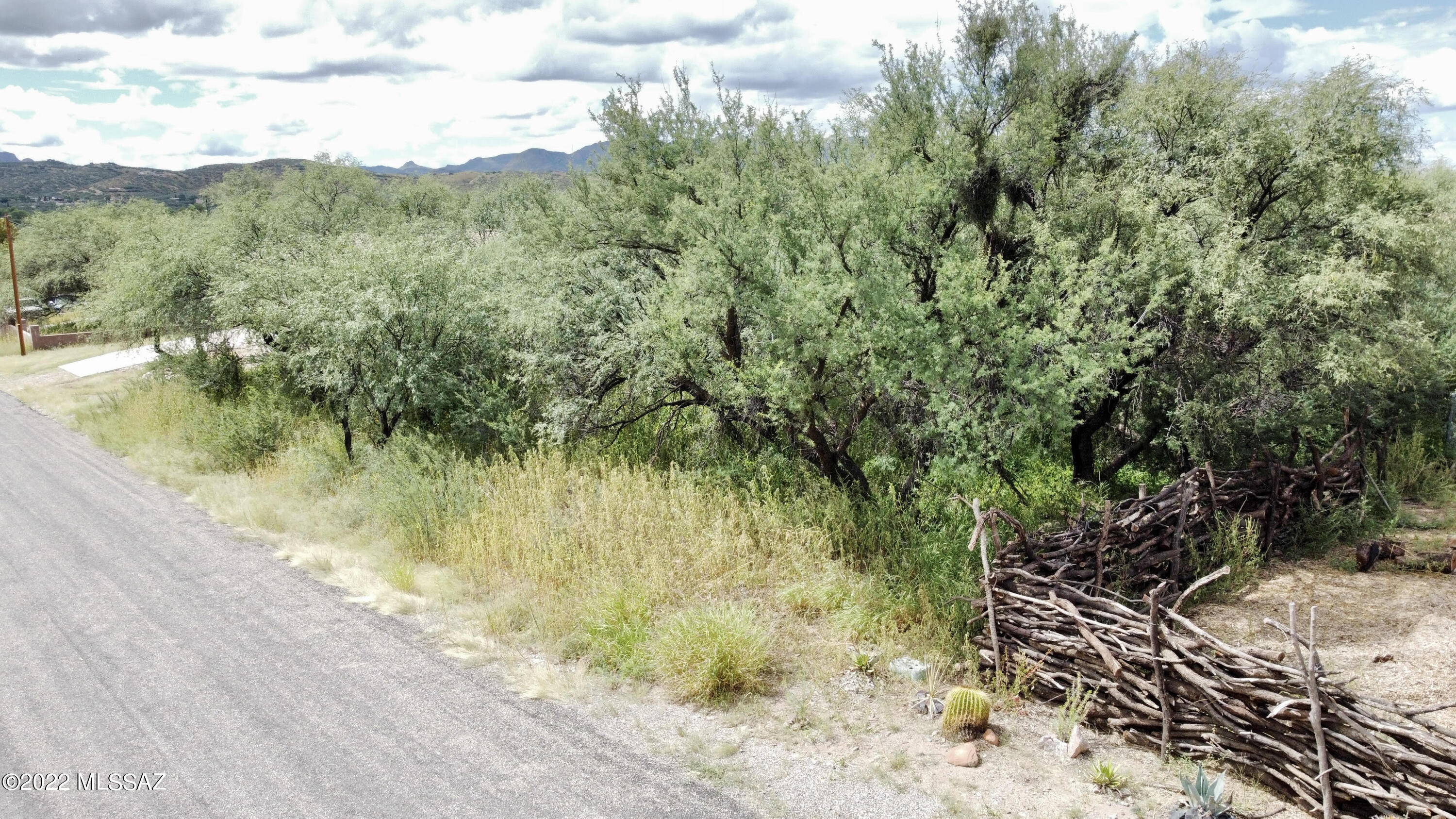 Rio Rico Ranchettes - Land