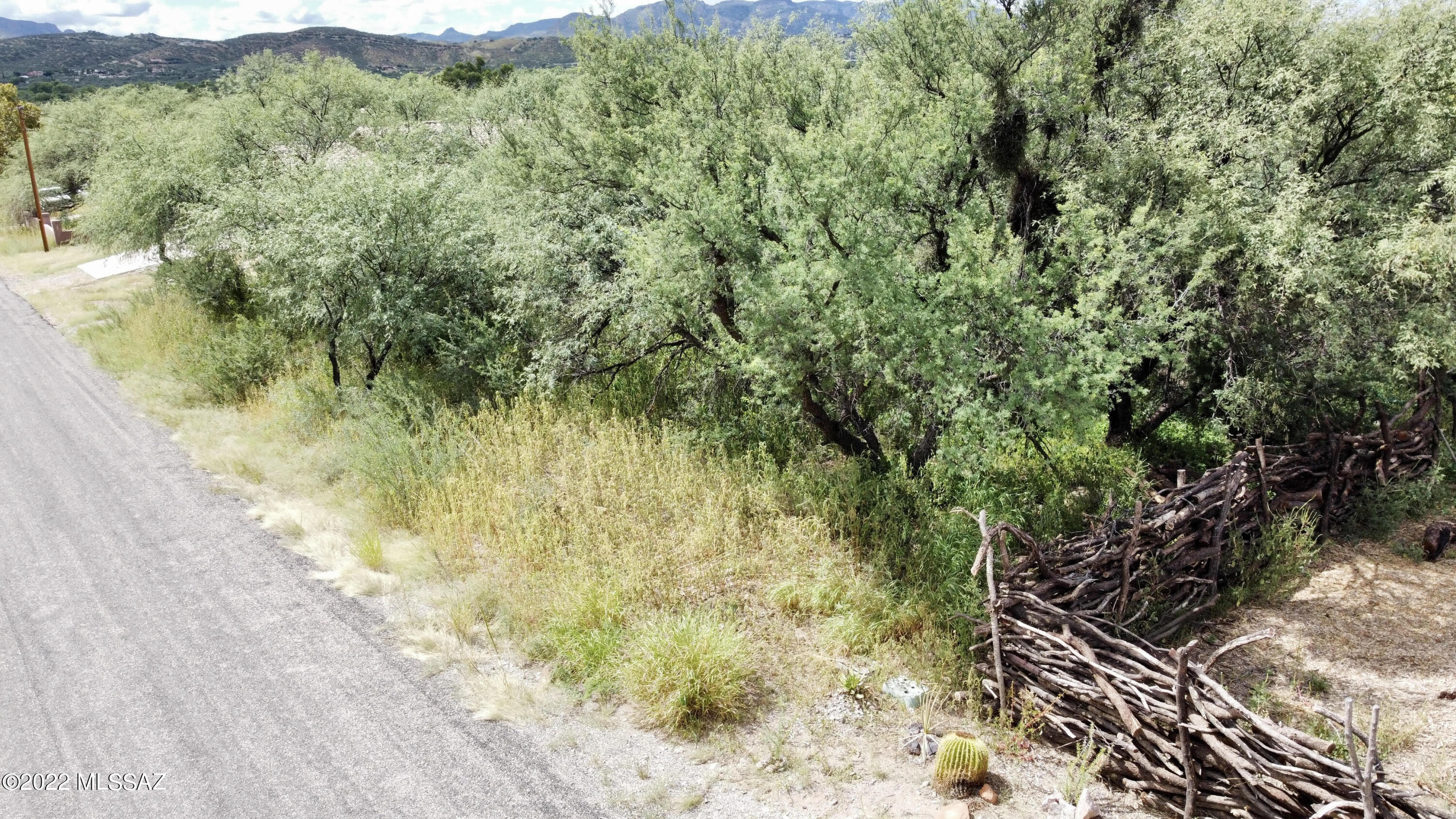Rio Rico Ranchettes - Land