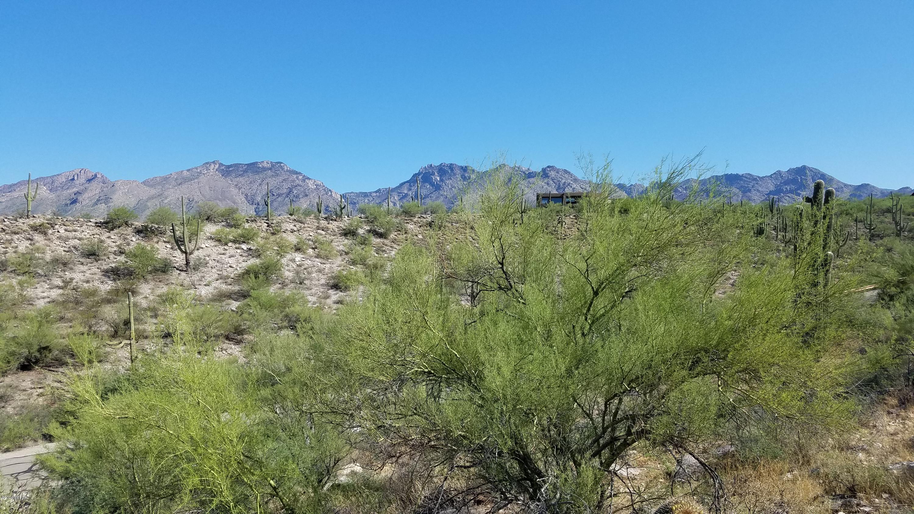 Little Ridge (1-20) - Land