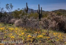 Corner lot, views all around, Saguaro National Monument all around, mature vegetation, power, water at the road. All flat, all usable, very nice lot.  Road is paved and dirt.  Lot will perk, more than likely you can drill your own well.