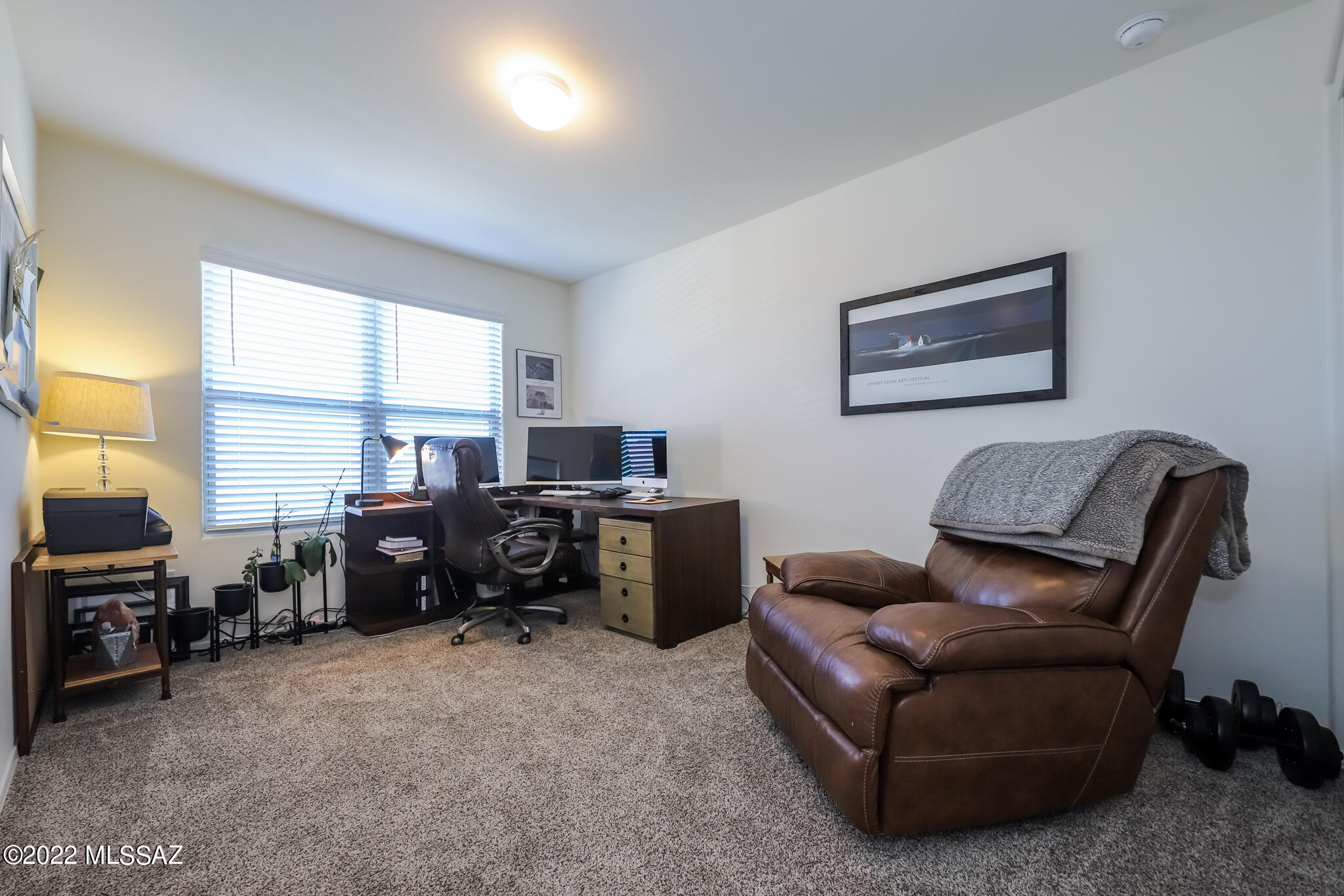 Saguaro Bloom SQ20180540069 - Residential