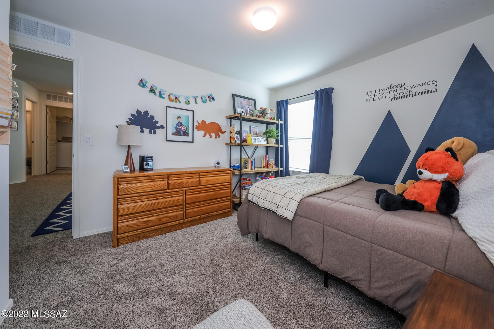 Saguaro Bloom SQ20180540069 - Residential