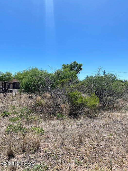 Rio Rico  Unit No 7 - Land