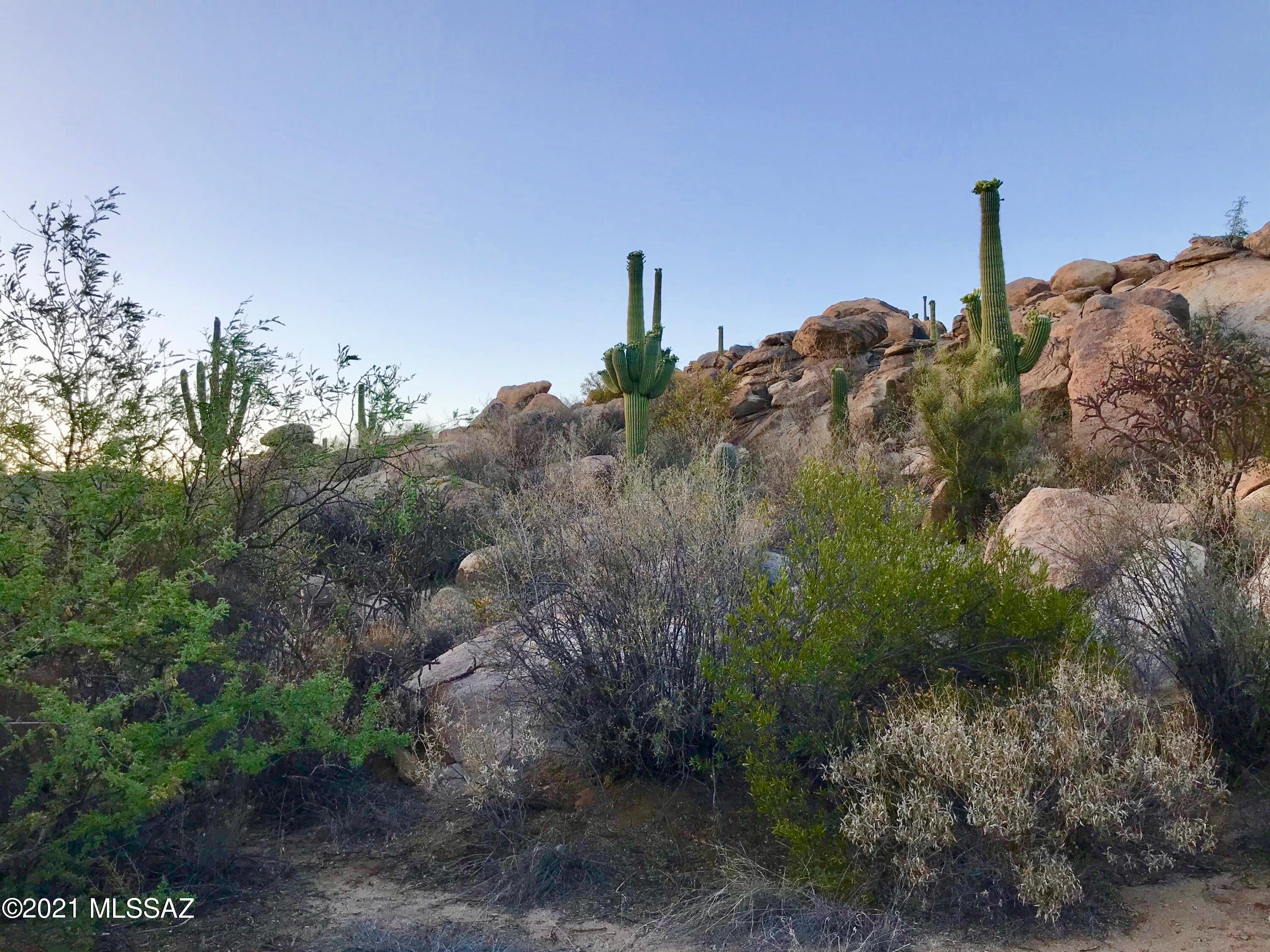 Unbelievable Rock Outcroppings and Privacy. 
Tortolita Views and Saguaro Studded Land.  
Be part of the Stone Canyon Lifestyle.  Spectacular Golf Club Club and amenities.  Schedule a tour of the facilities.  Sports Membership Required with purchase.