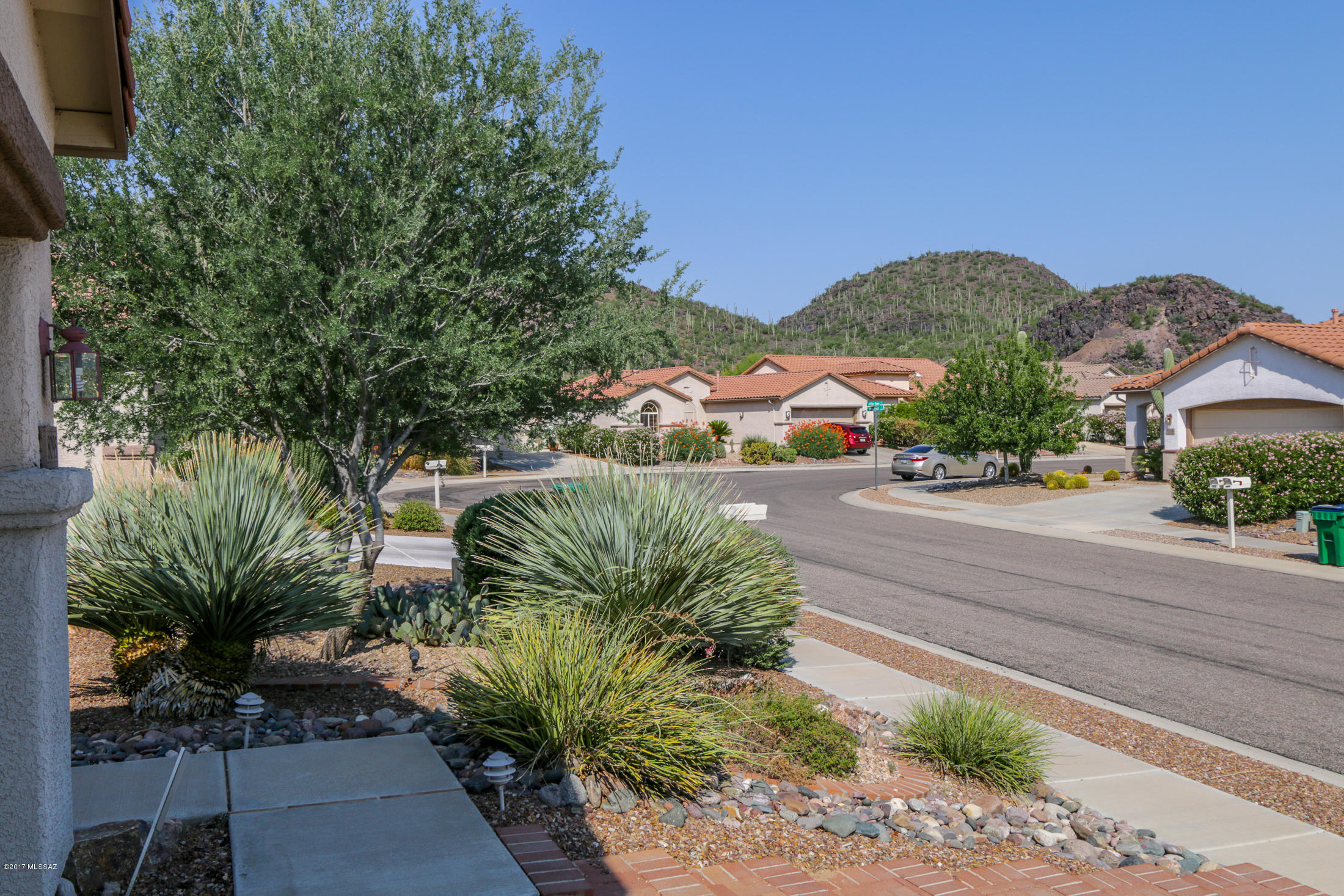 Continental Ranch Sunflower - Residential