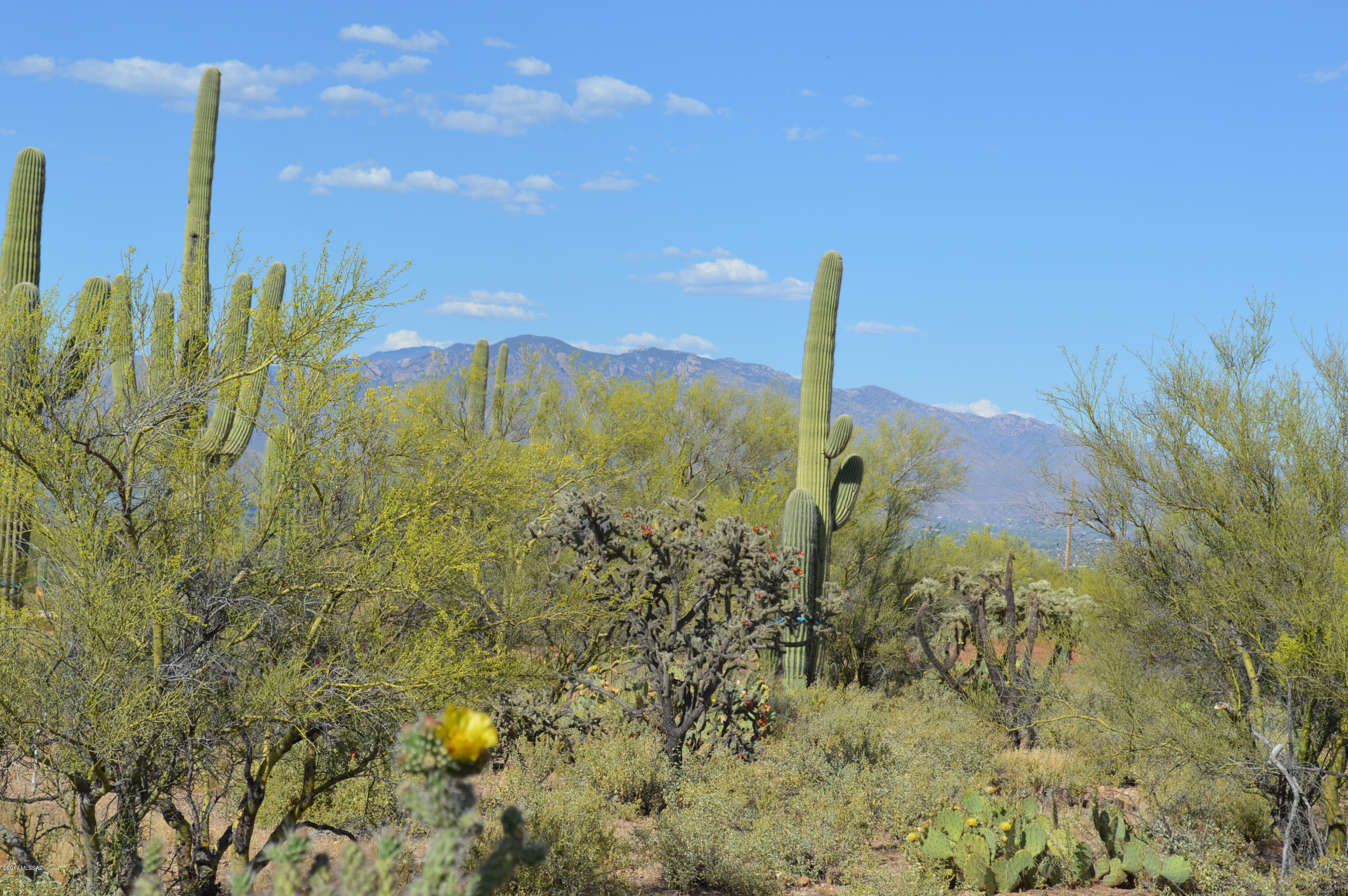 Range Pricing. Seller will accept or counter offers between $150,000 & $160,000. BREATHTAKING SWEEPING PANORAMIC VIEWS!! WIDE OPEN SPACE!! MOUNTAIN AND SUNSET SCENERY!! Enjoy all the Sonoran Desert has to offer on this beautiful 3.59 acre lot nestled right up next to the Tucson Mountains! This tranquil, cul-de-sac lot provides ample room for you to build the home you have always dreamed of! Natural Gas, Water, and Electric Power is available to the lot and a septic sewer system is required (perc test successfully completed). Generally flat topography allows for good use of the site. Enjoy Views, privacy, serenity, desert wonders-right outside your doors. Visit today to enjoy the majestic views firsthand...and Fall-In-Love!