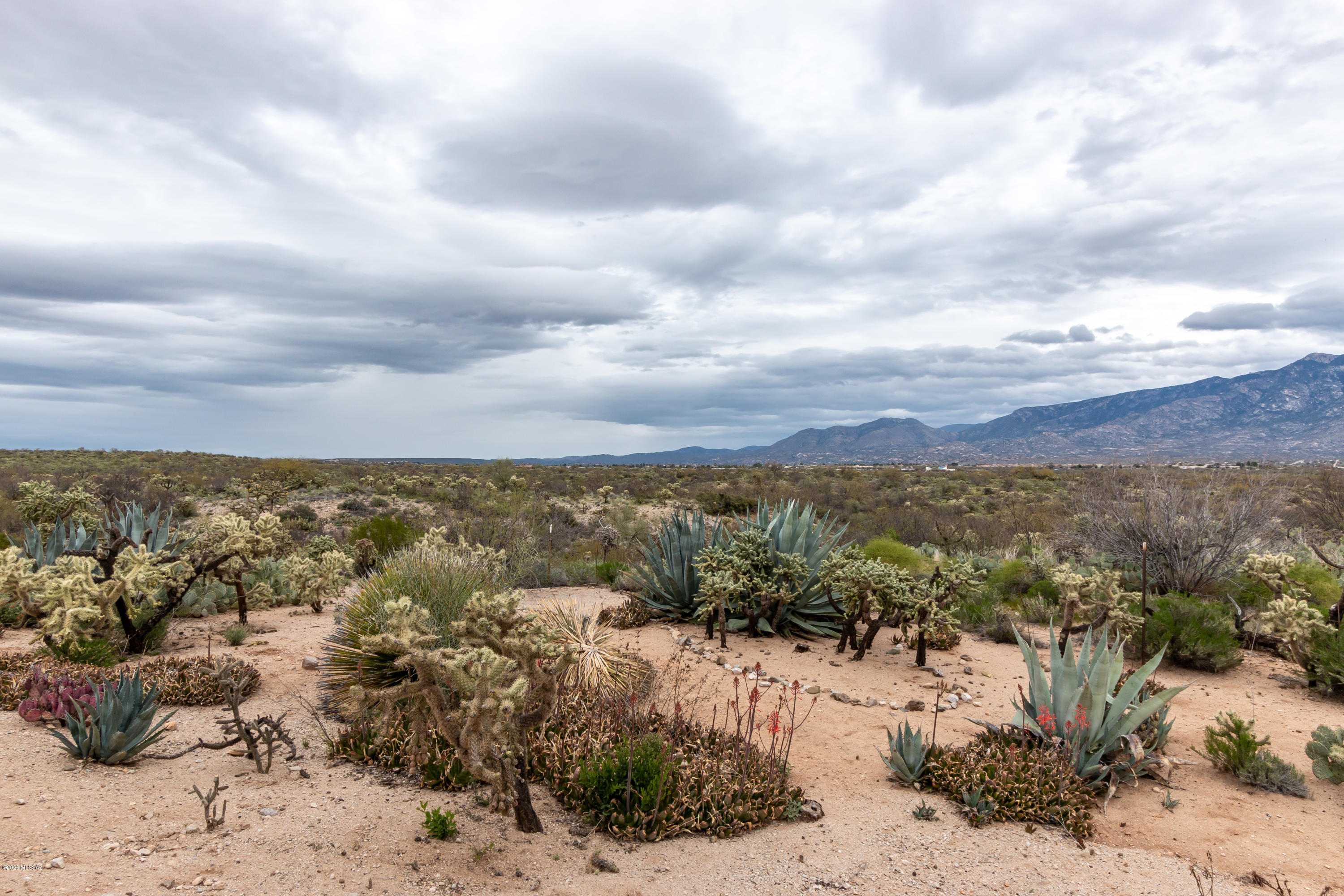 Sun City Vistoso Unit 7(1-227) - Residential