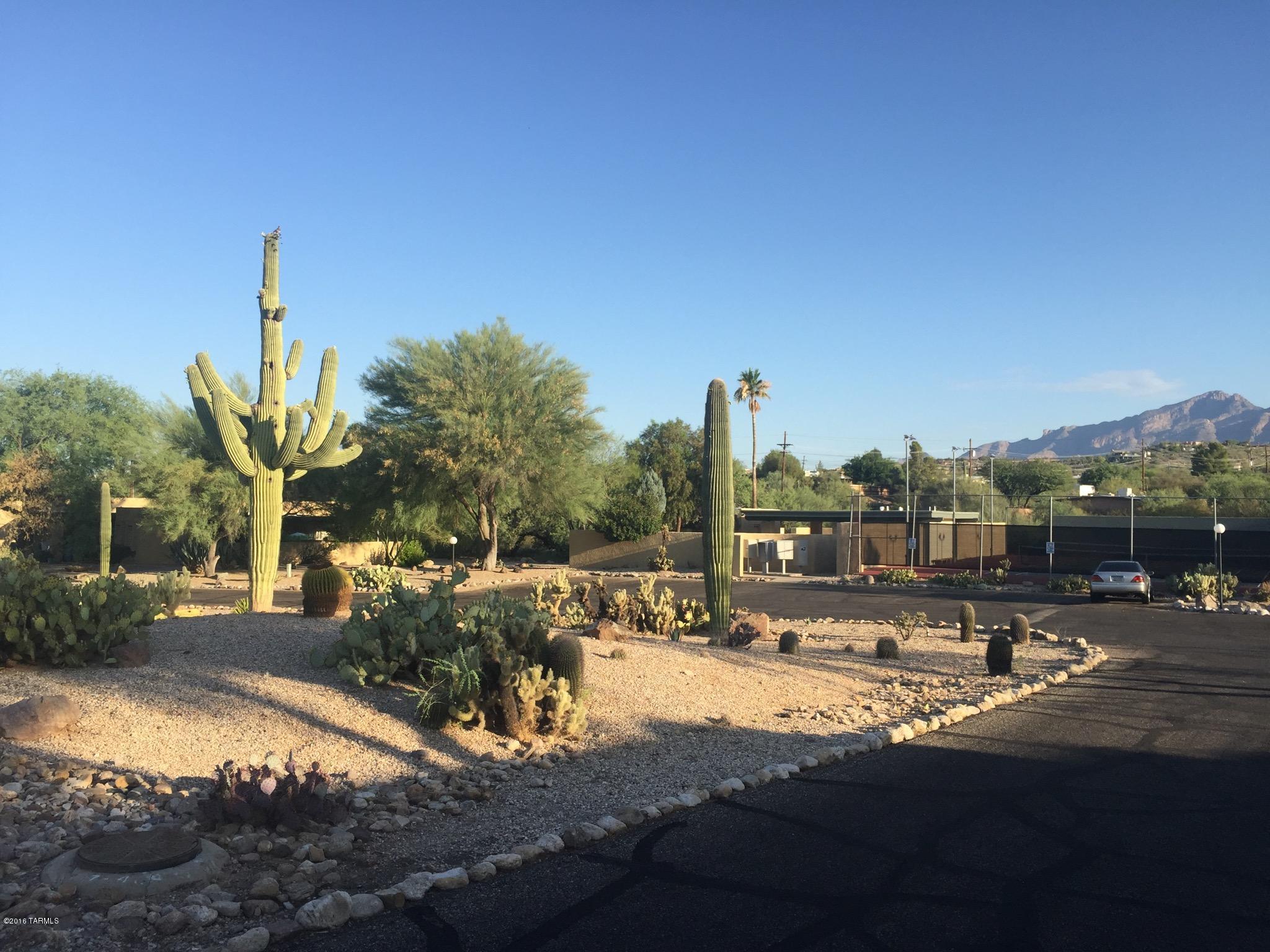 Riverbend - Sabino Canyon Road  (1-97) - Residential Lease