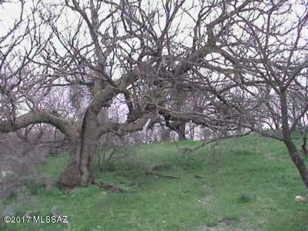 Unsubdivided - Land
