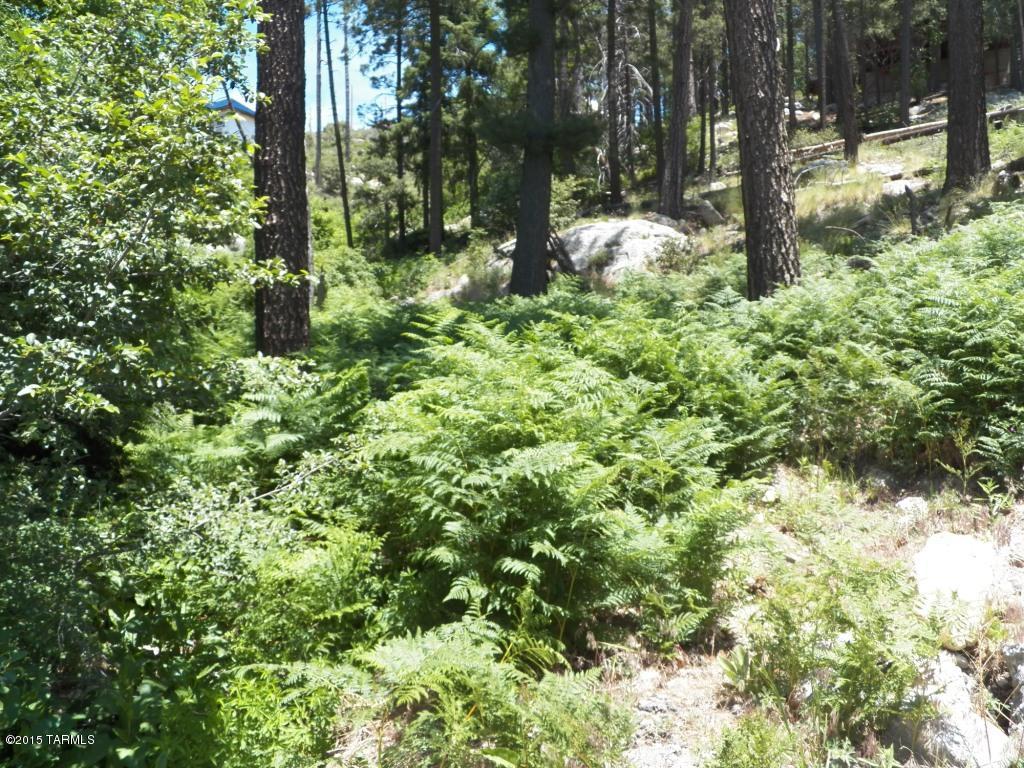 This beautiful, heavily wooded lot is located in the heart of Summerhaven, has year-round road access and is only gently sloped making it that much more desirable to build your dream chalet.  Adjacent property directly to the North is a Pima County easement that can not be built on and makes this lot feel so much larger!  Call Mistie today for details or to schedule a time to walk the lot.