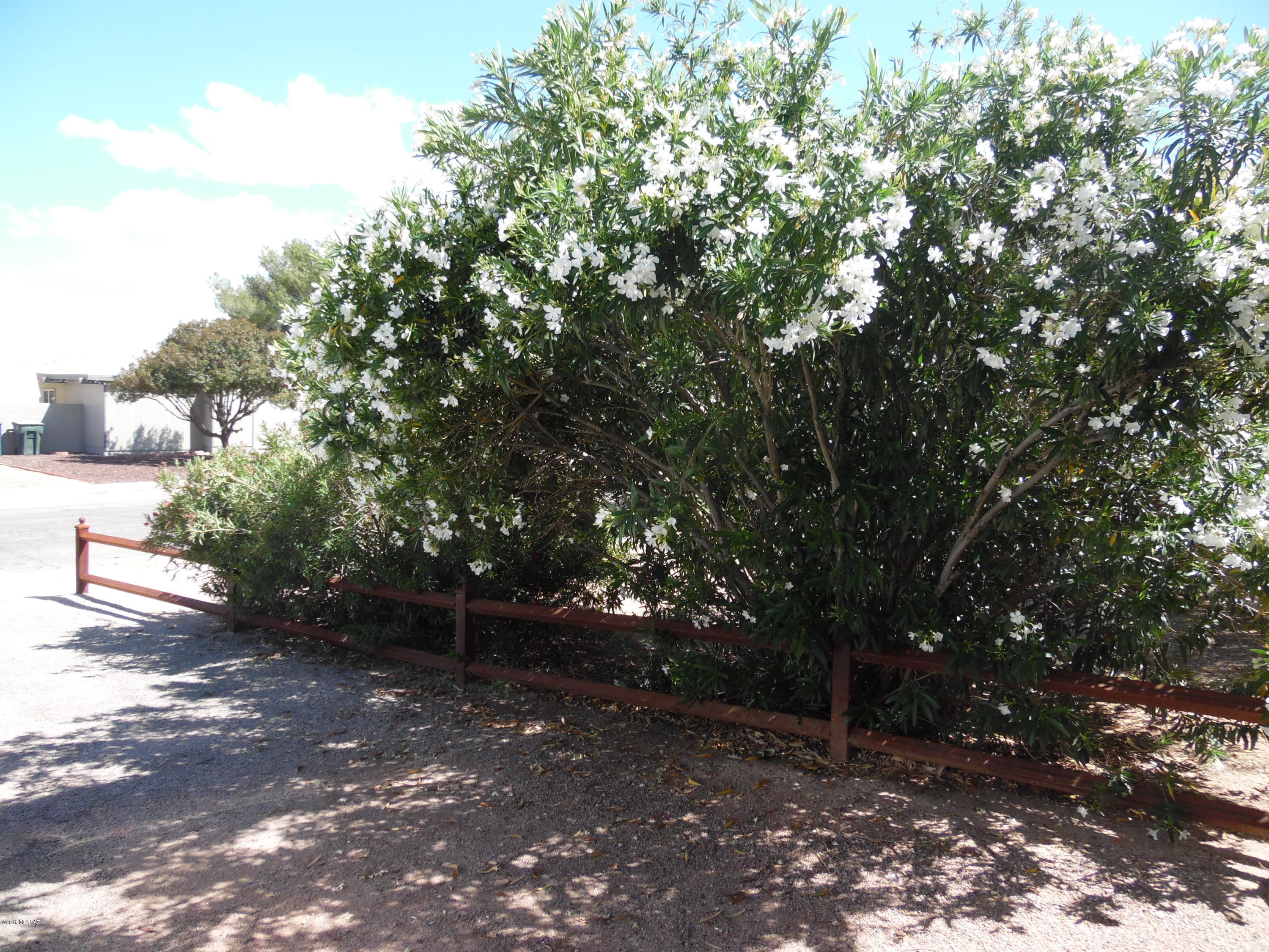 Cedar Grove (1-100) - Residential Lease