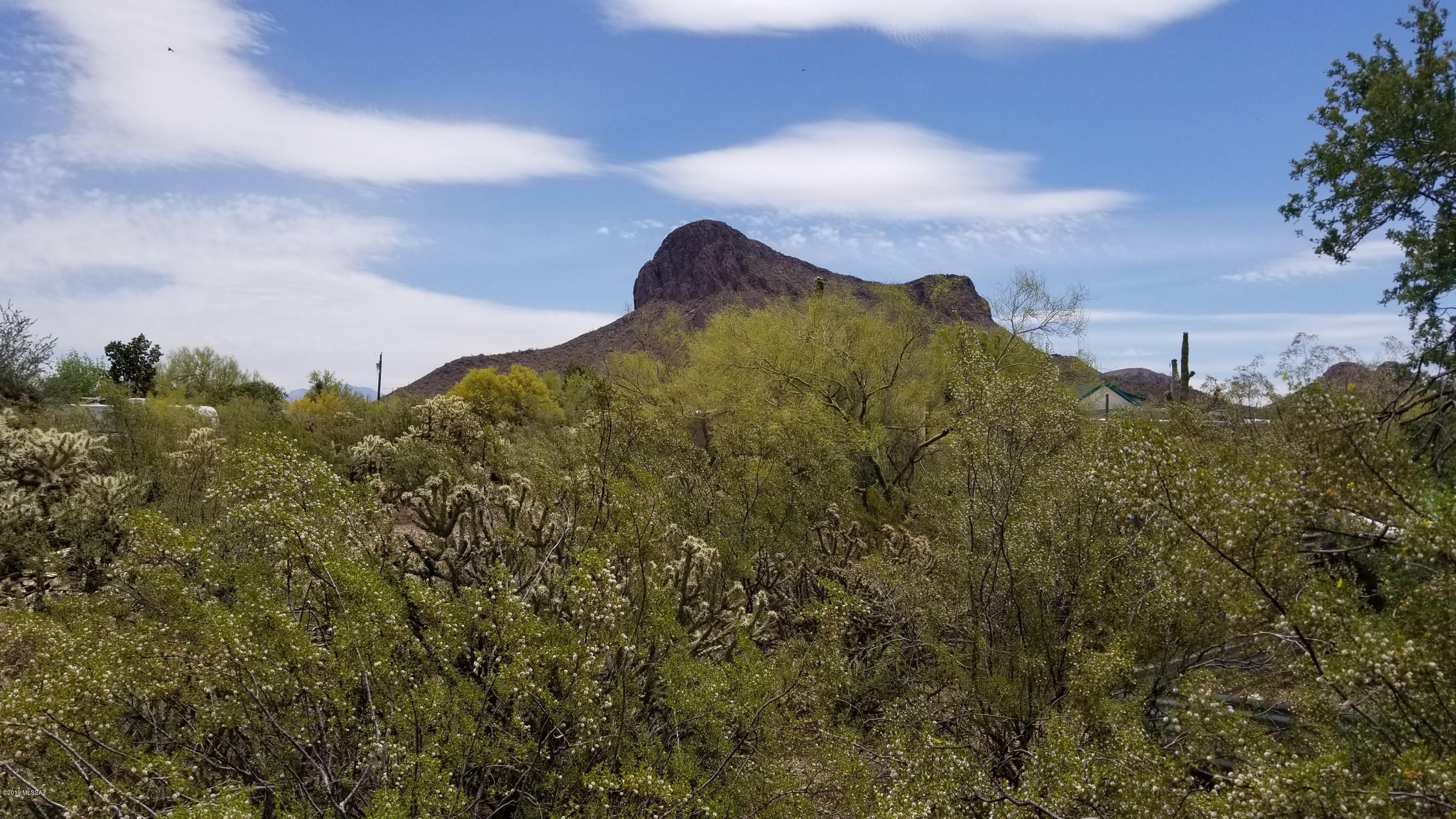 1.25 acre lot with amazing views of the mountains.  Water, septic, electric and phone are all on site - no impact fees.  Native plants including Saguaro Cacti and a Century Plant.  Juvenile (not yet producing) naval orange tree and pink grapefruit tree on property.  Perimeter fenced with field fence, with gate on driveway.