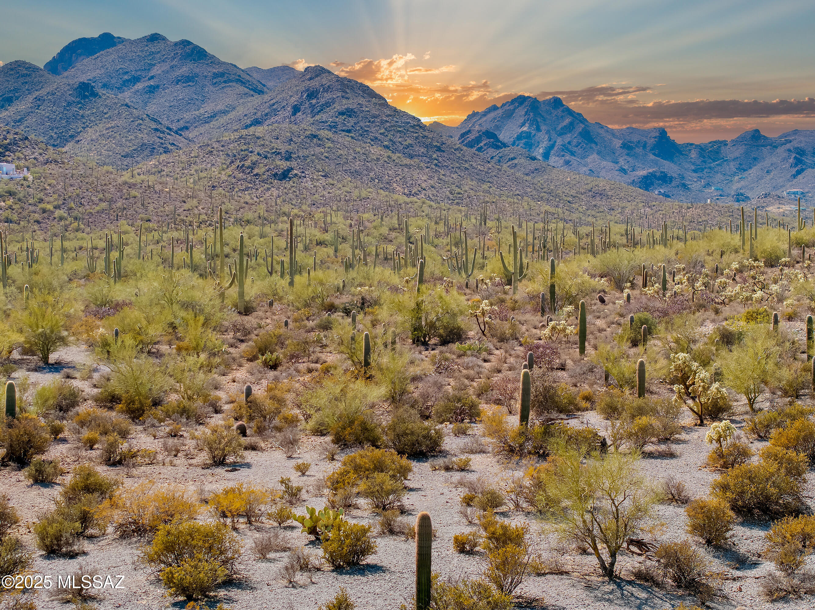 Saguaro Cliffs (1-61) - Land