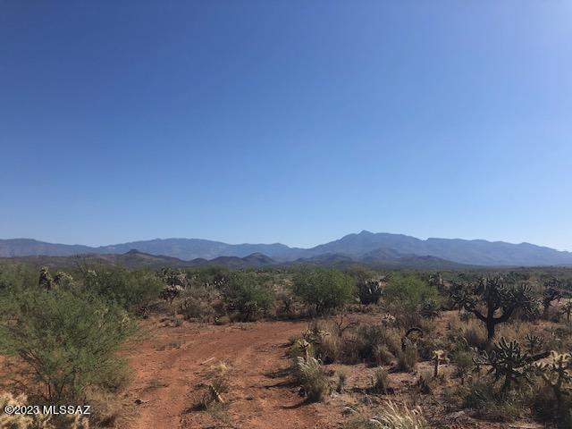 Mountain View Ranch (1-362) - Land