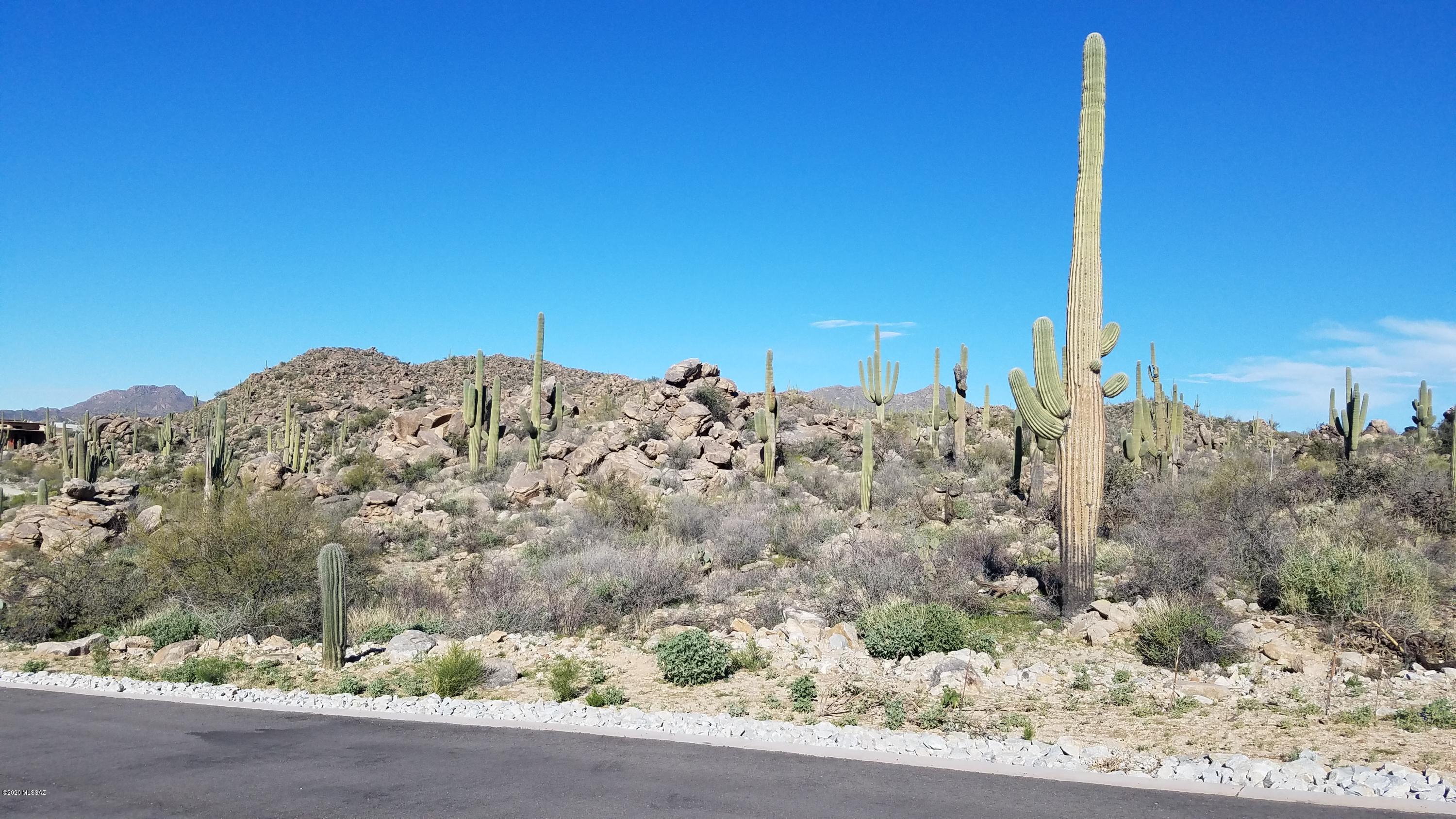 Stone Canyon VIII (486-602) - Land