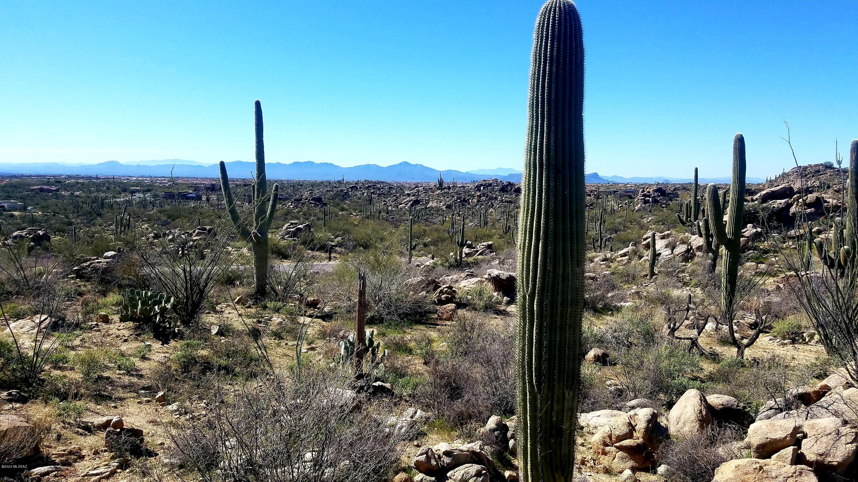 Stone Canyon VIII (486-602) - Land