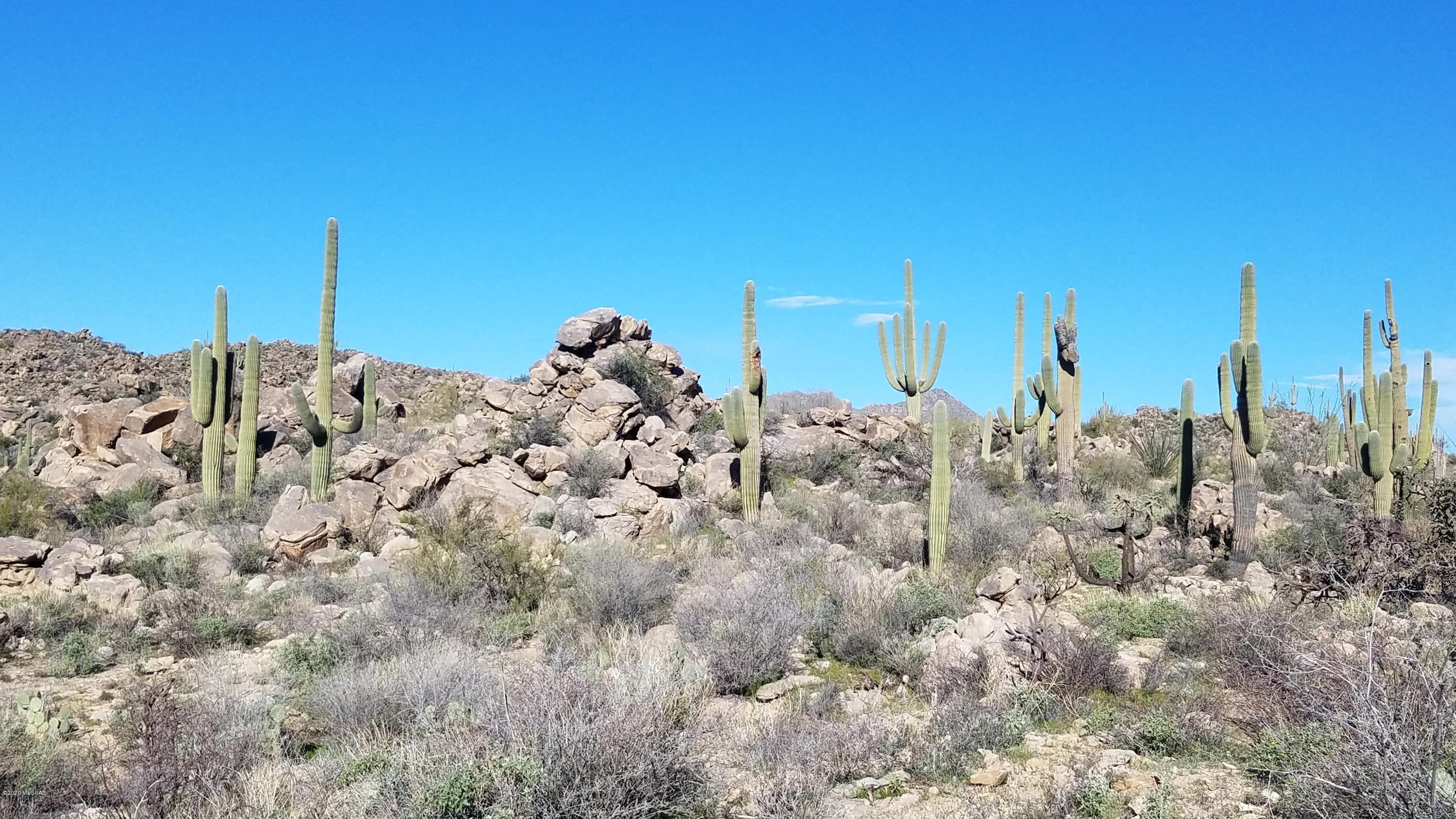 Stone Canyon VIII (486-602) - Land