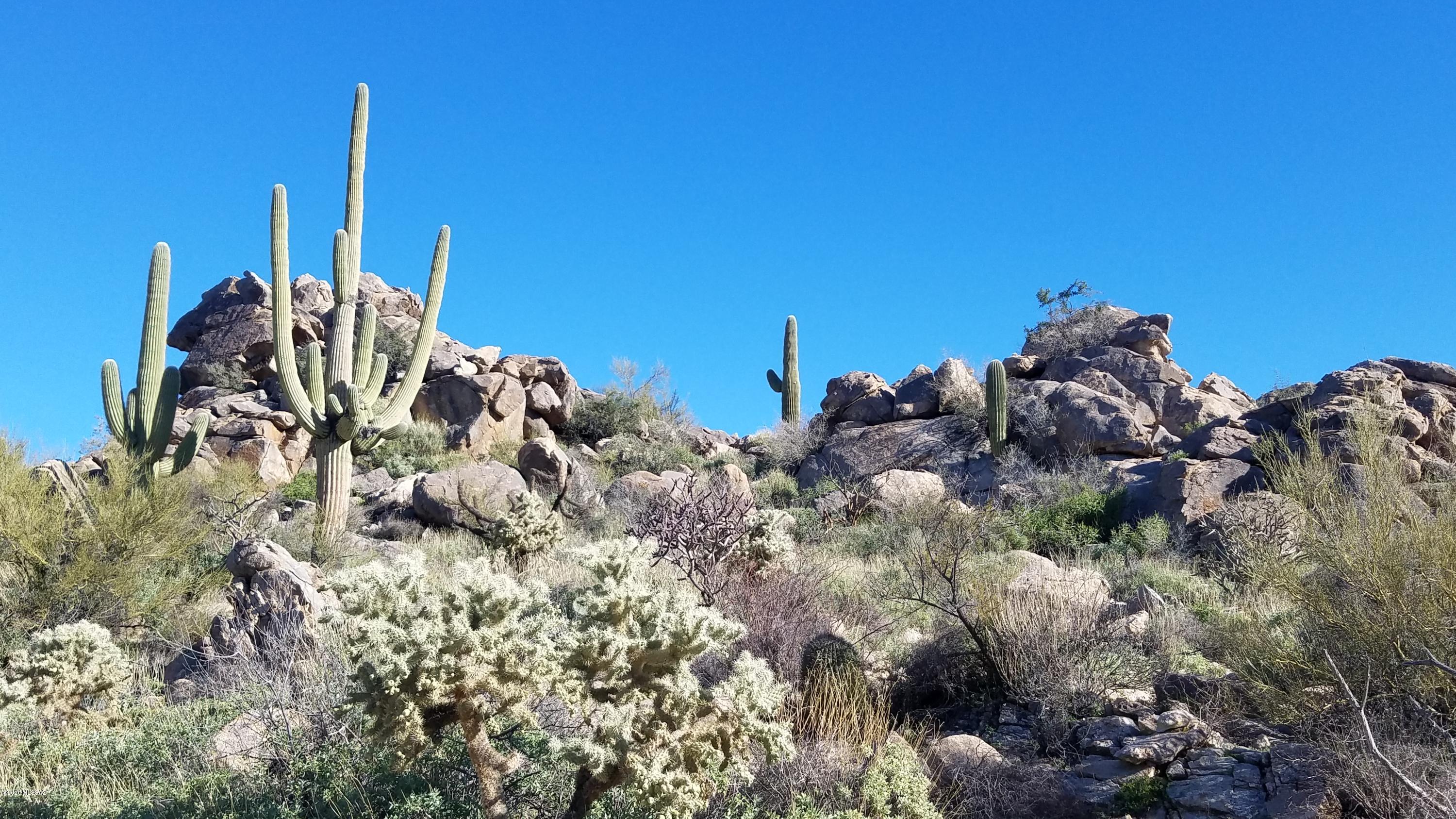Stone Canyon VIII (486-602) - Land