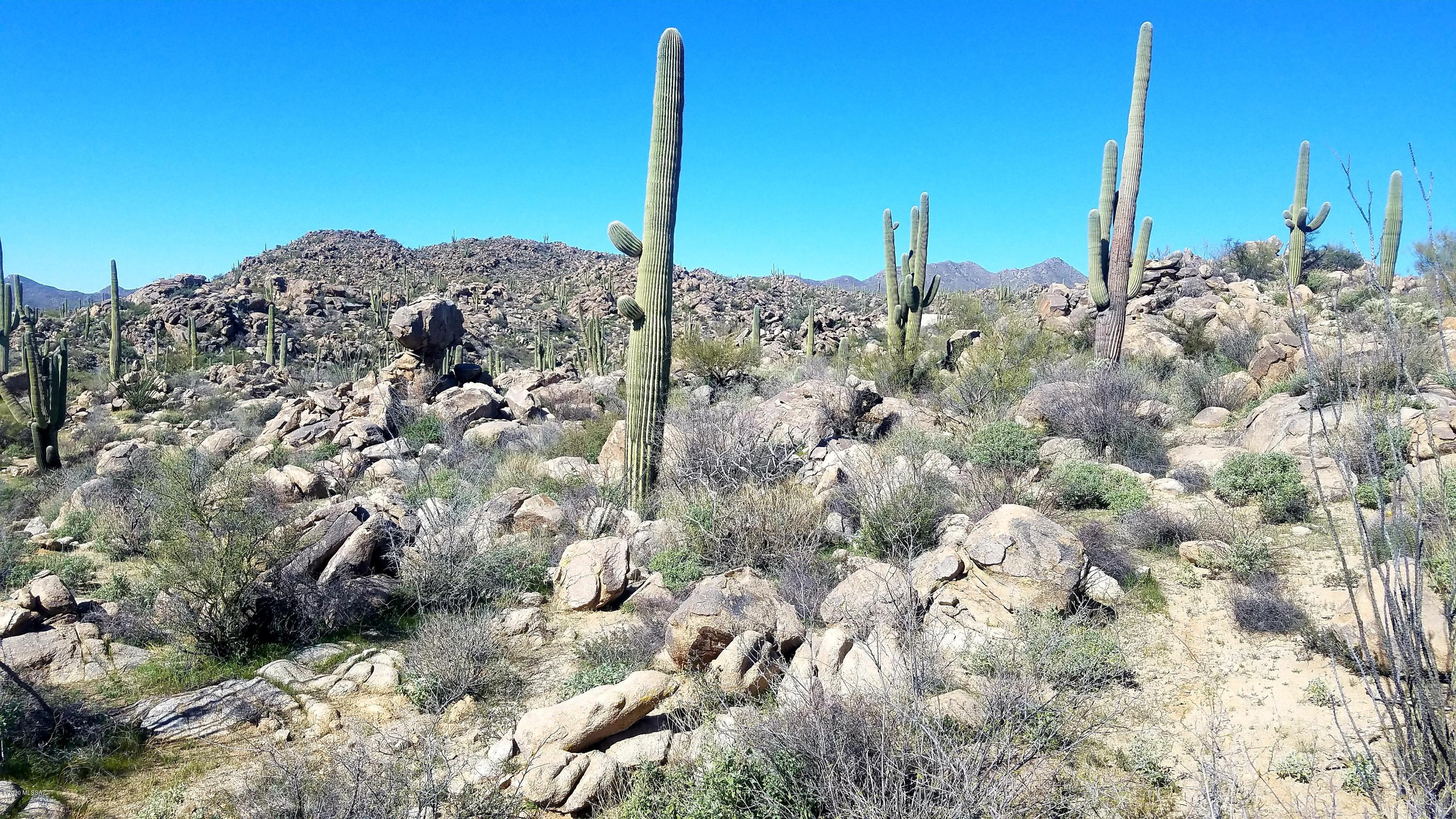 Stone Canyon VIII (486-602) - Land