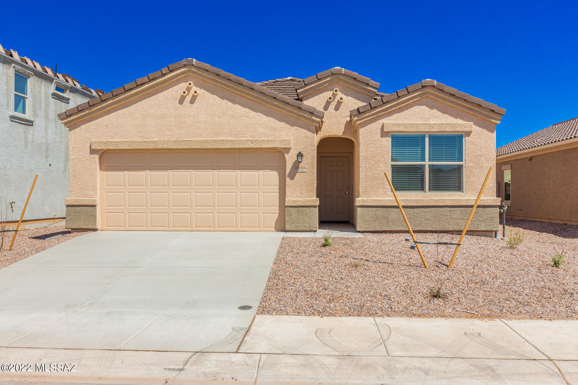 Saguaro Bloom SQ20180540069 - Residential