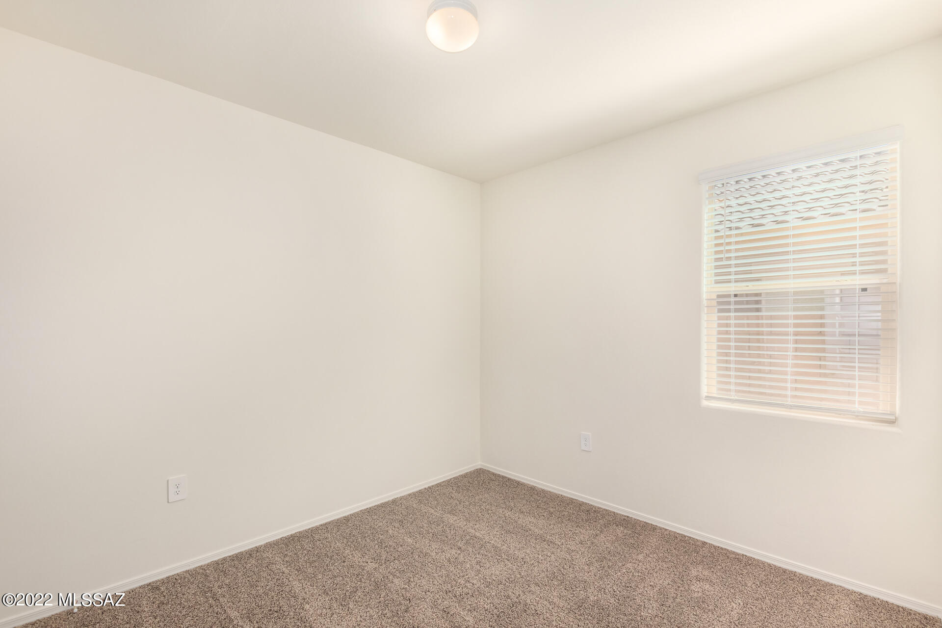 Saguaro Bloom SQ20180540069 - Residential