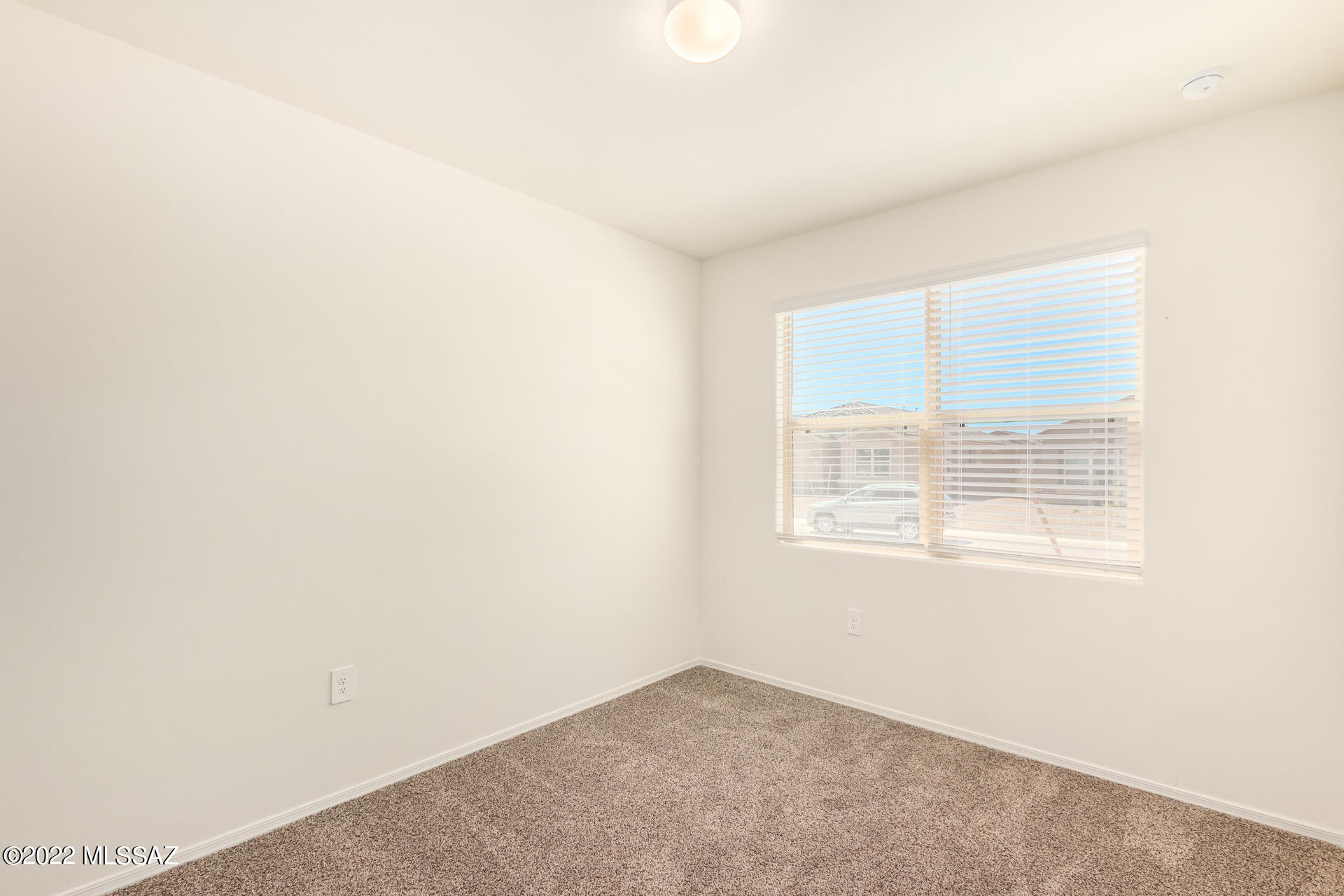 Saguaro Bloom SQ20180540069 - Residential