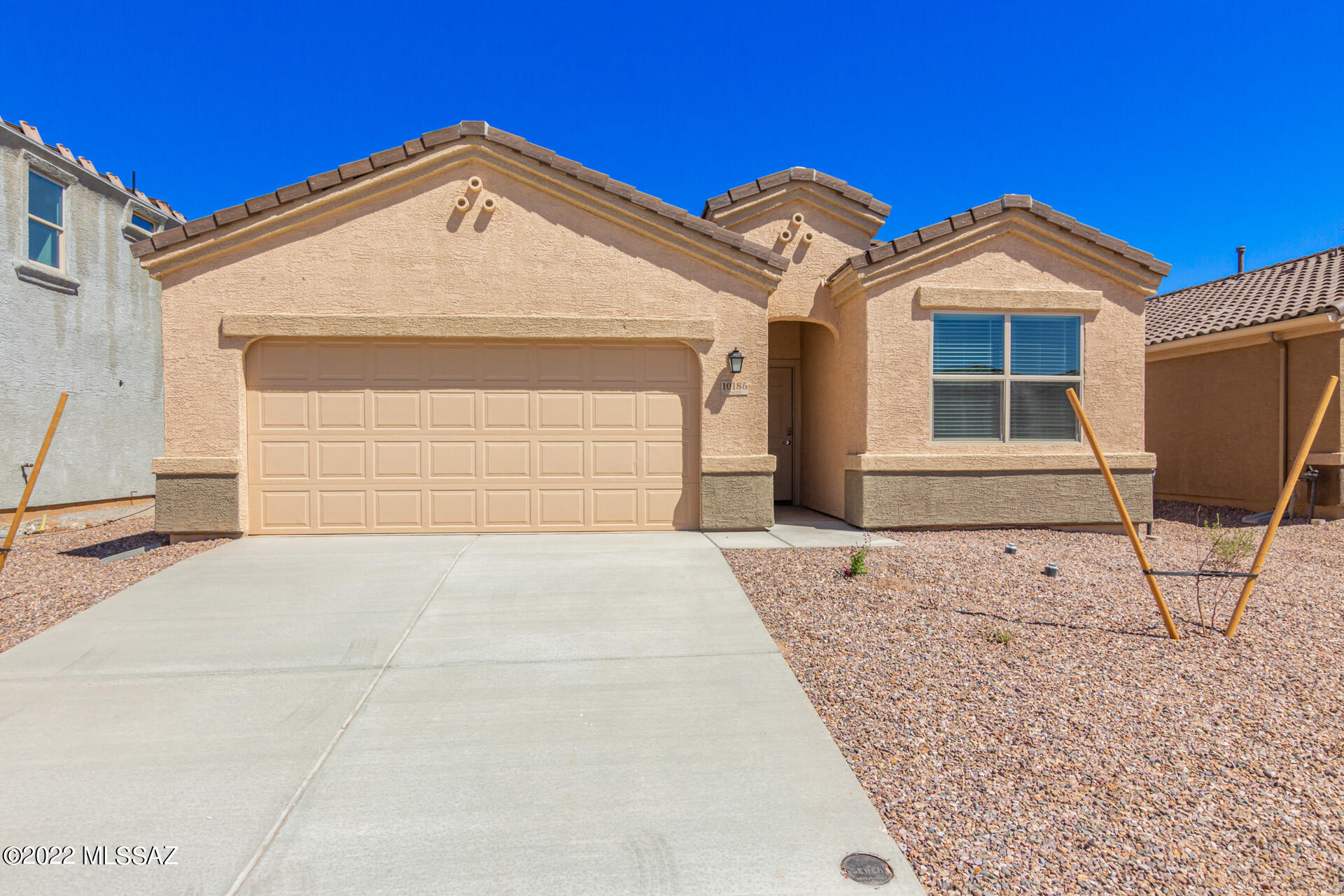 Saguaro Bloom SQ20180540069 - Residential