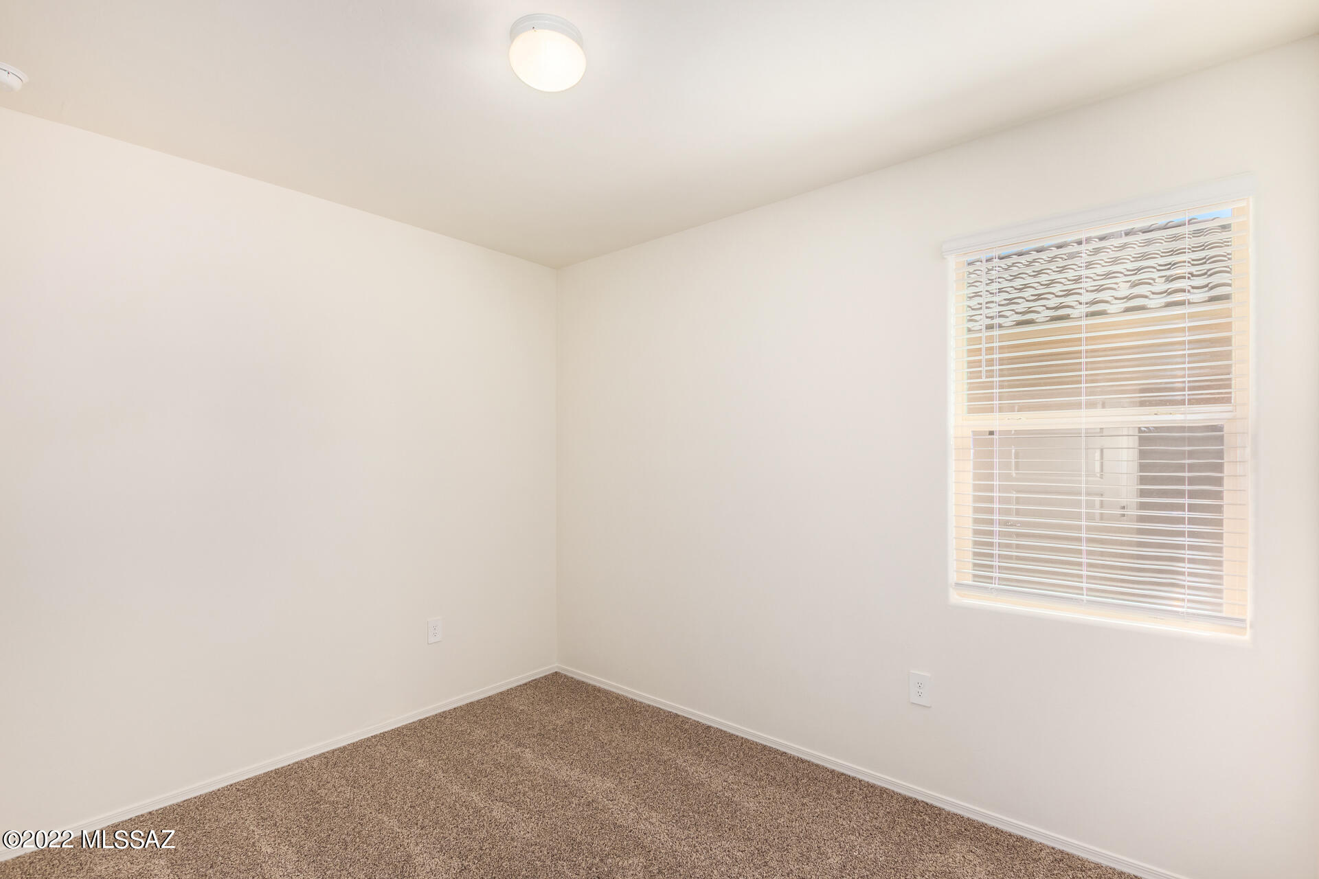 Saguaro Bloom SQ20180540069 - Residential