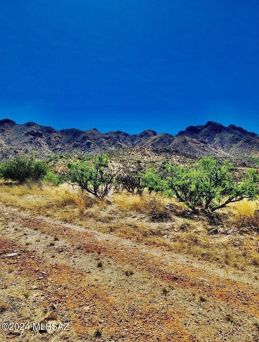 Come Build your Beautiful Home in this private corner lot on a cul-de-sac with gorgeous mountain views. Super convenient flat buildable property on .25 acres on paved road. Easy access to 1-19 FWY. Definitely a must-see!!! Make this lot your next spot to enjoy the sunsets. Buyer to confirm & verify all utilities. Seller paid for Septic Percolation Test; Report is available.