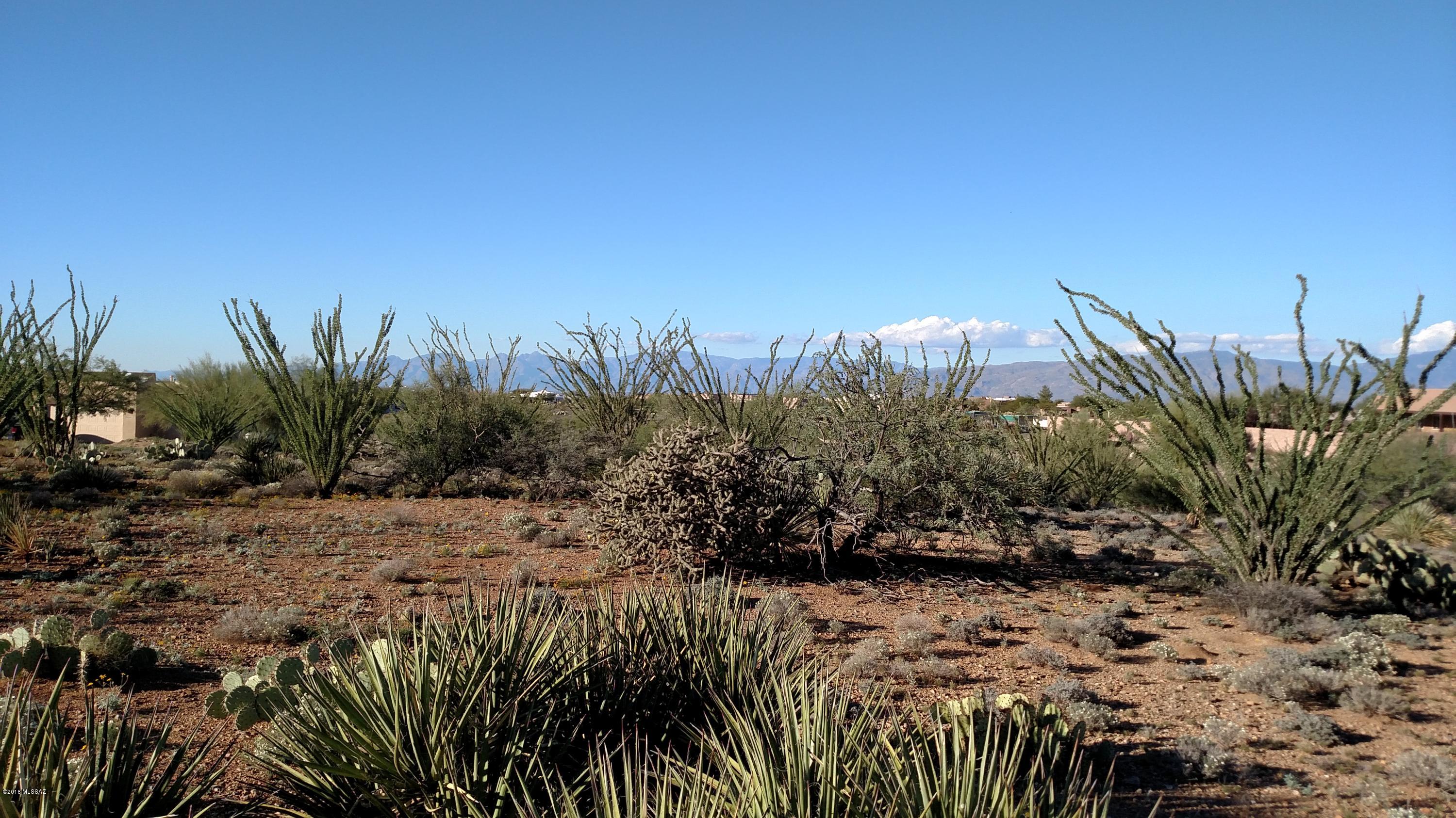 New Tucson Unit NO. 25 - Land