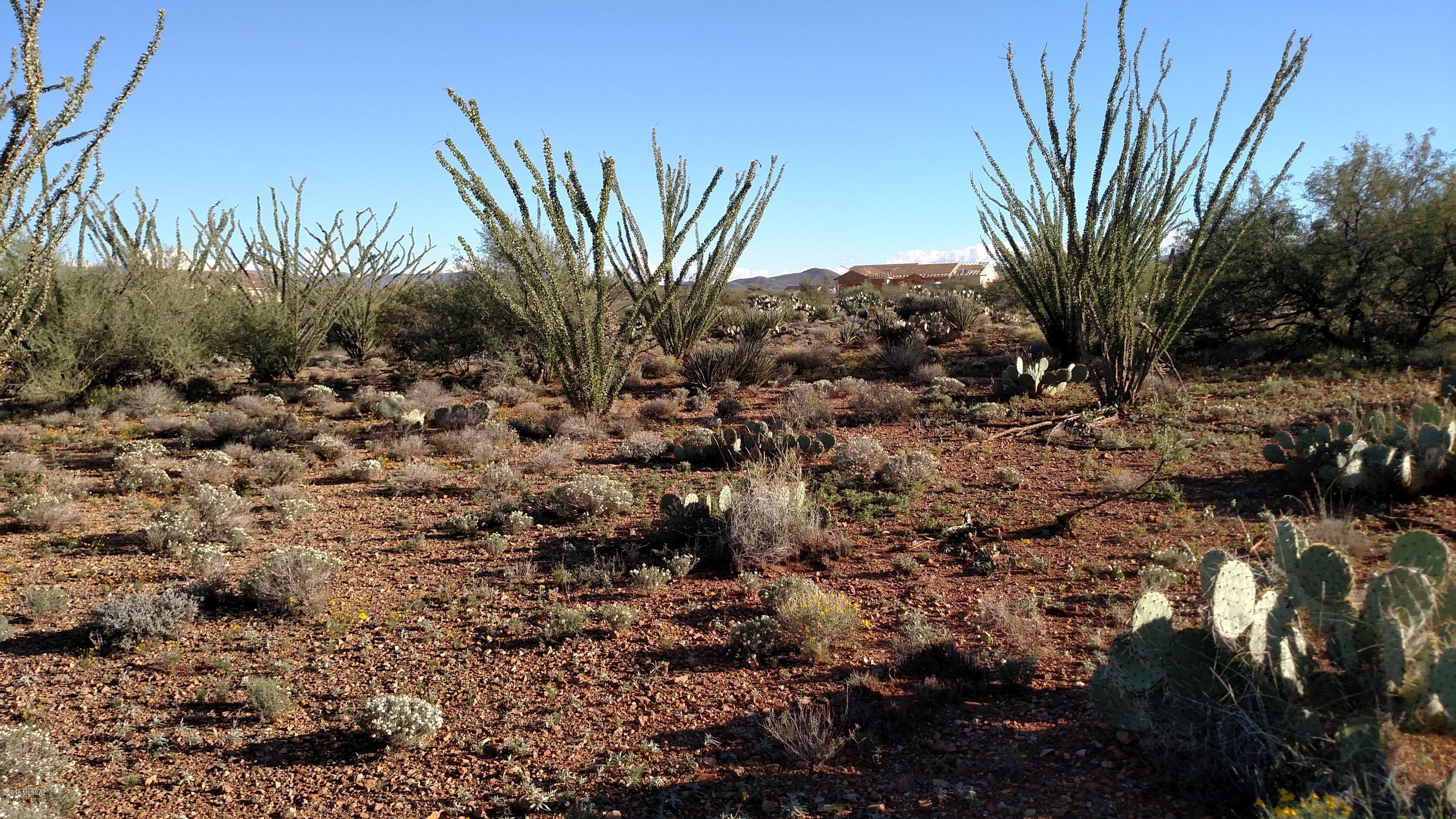 New Tucson Unit NO. 25 - Land