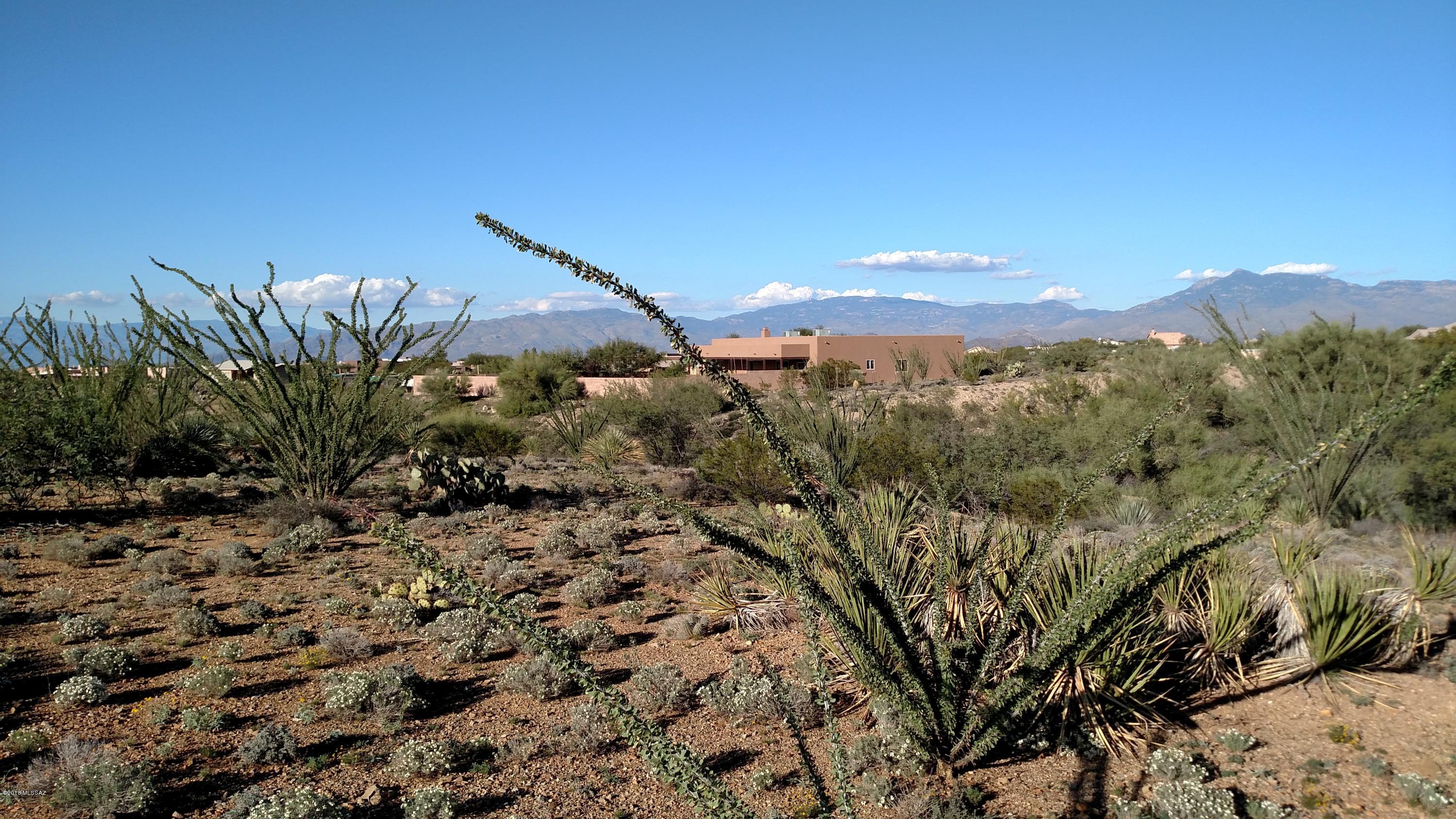 New Tucson Unit NO. 25 - Land