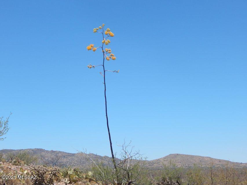 Out Of Pima County - Land