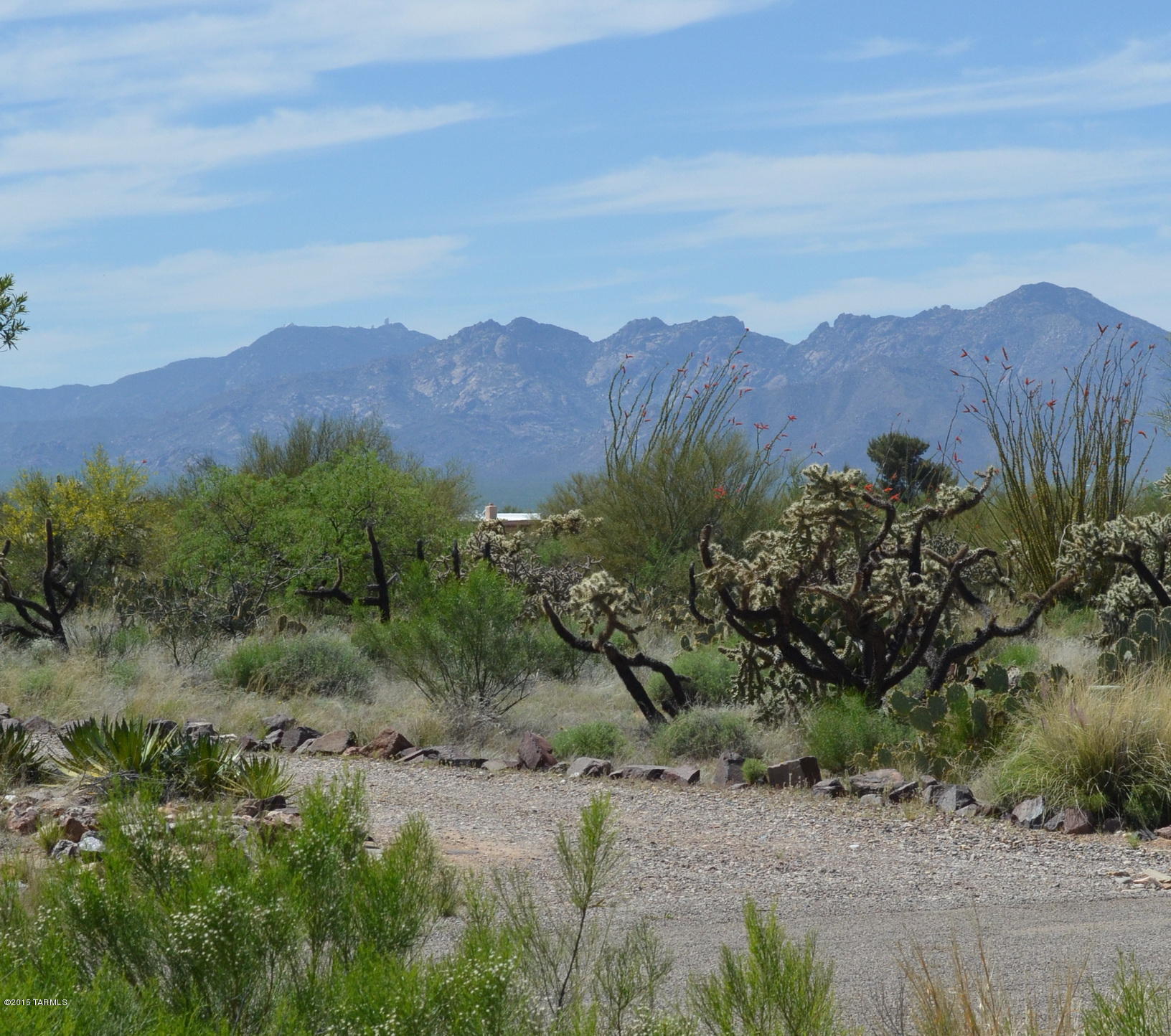 Diamond Bell Ranch - Tucson (1-229) - Residential