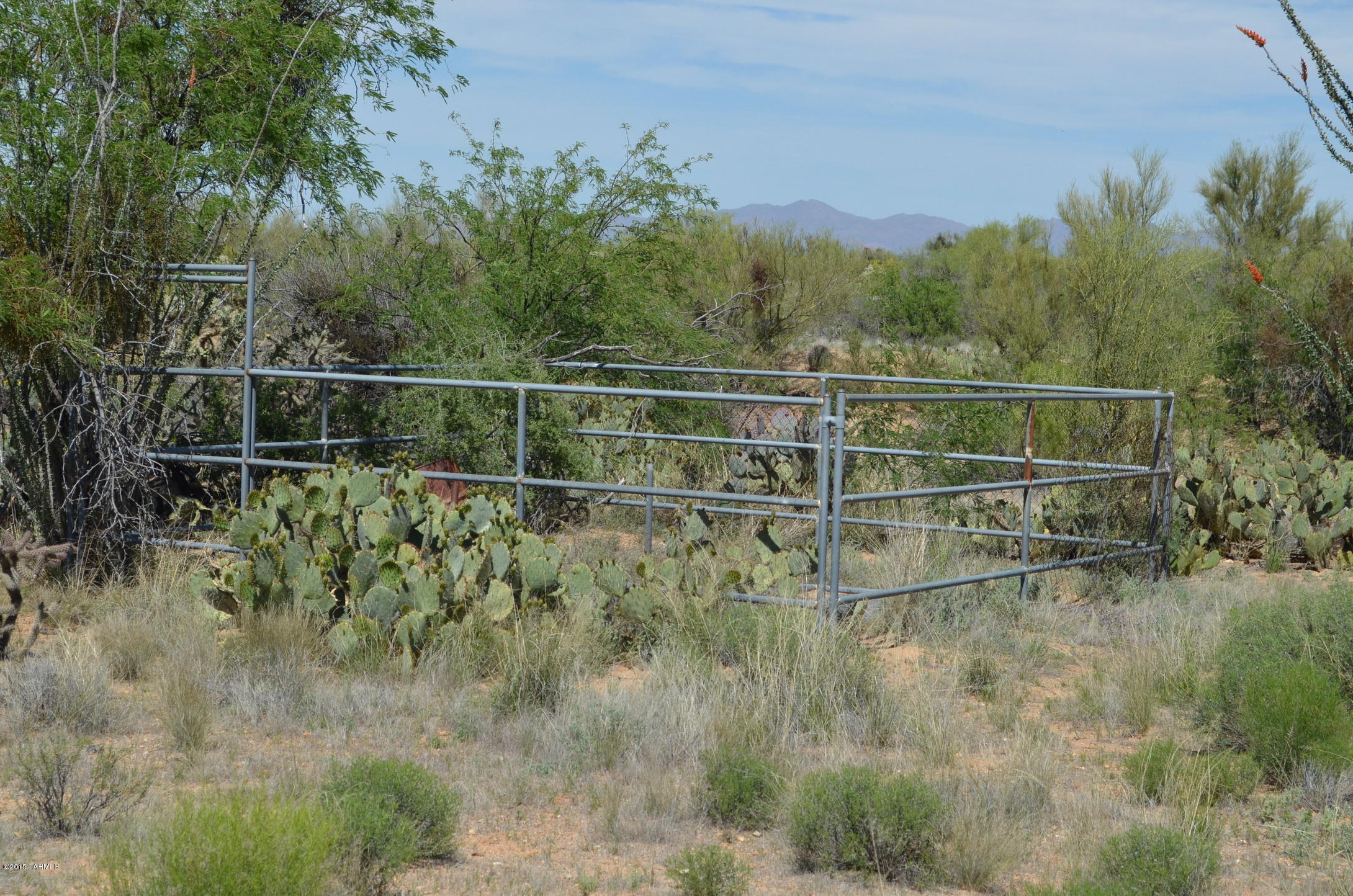 Diamond Bell Ranch - Tucson (1-229) - Residential