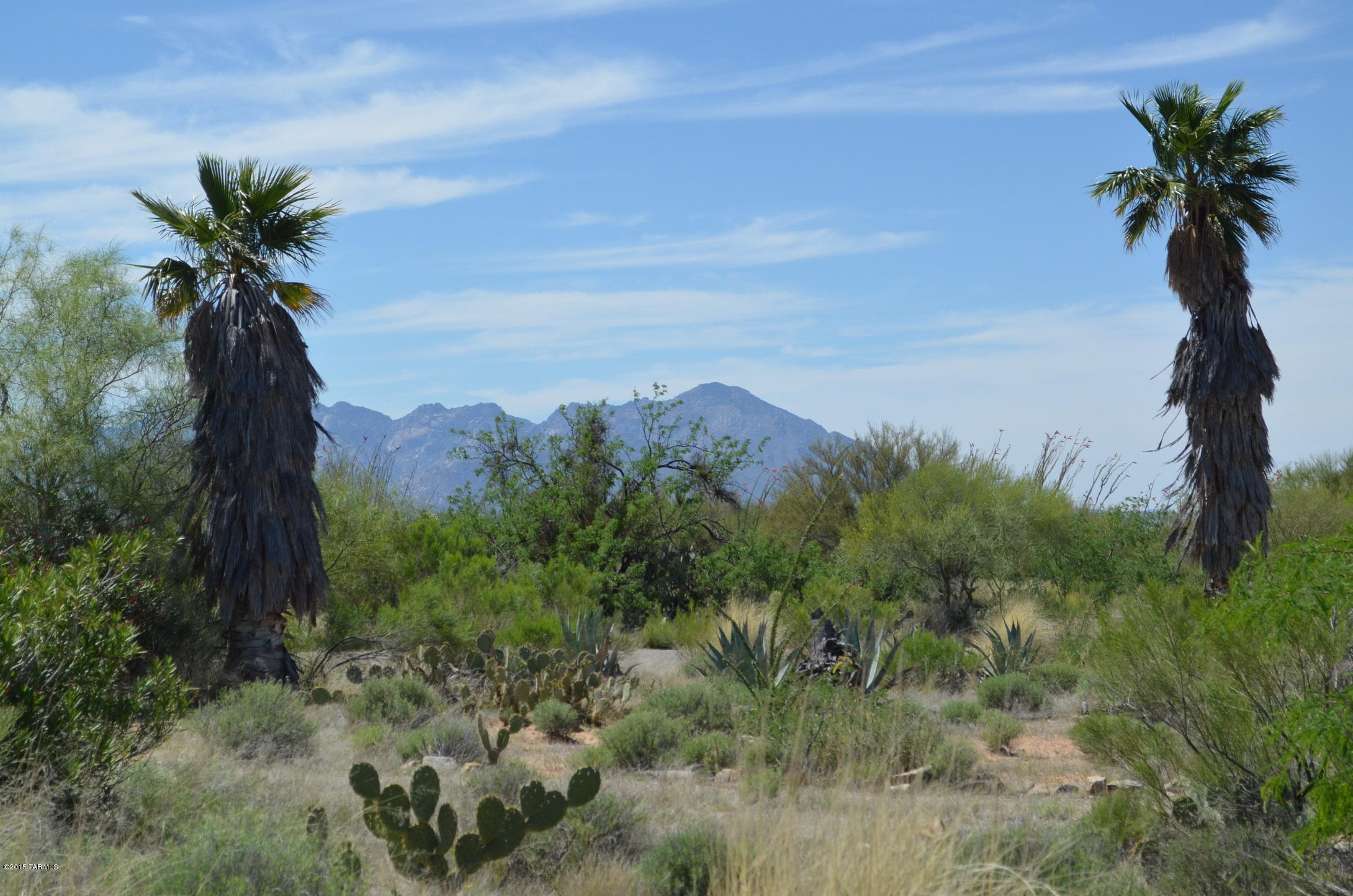 Diamond Bell Ranch - Tucson (1-229) - Residential