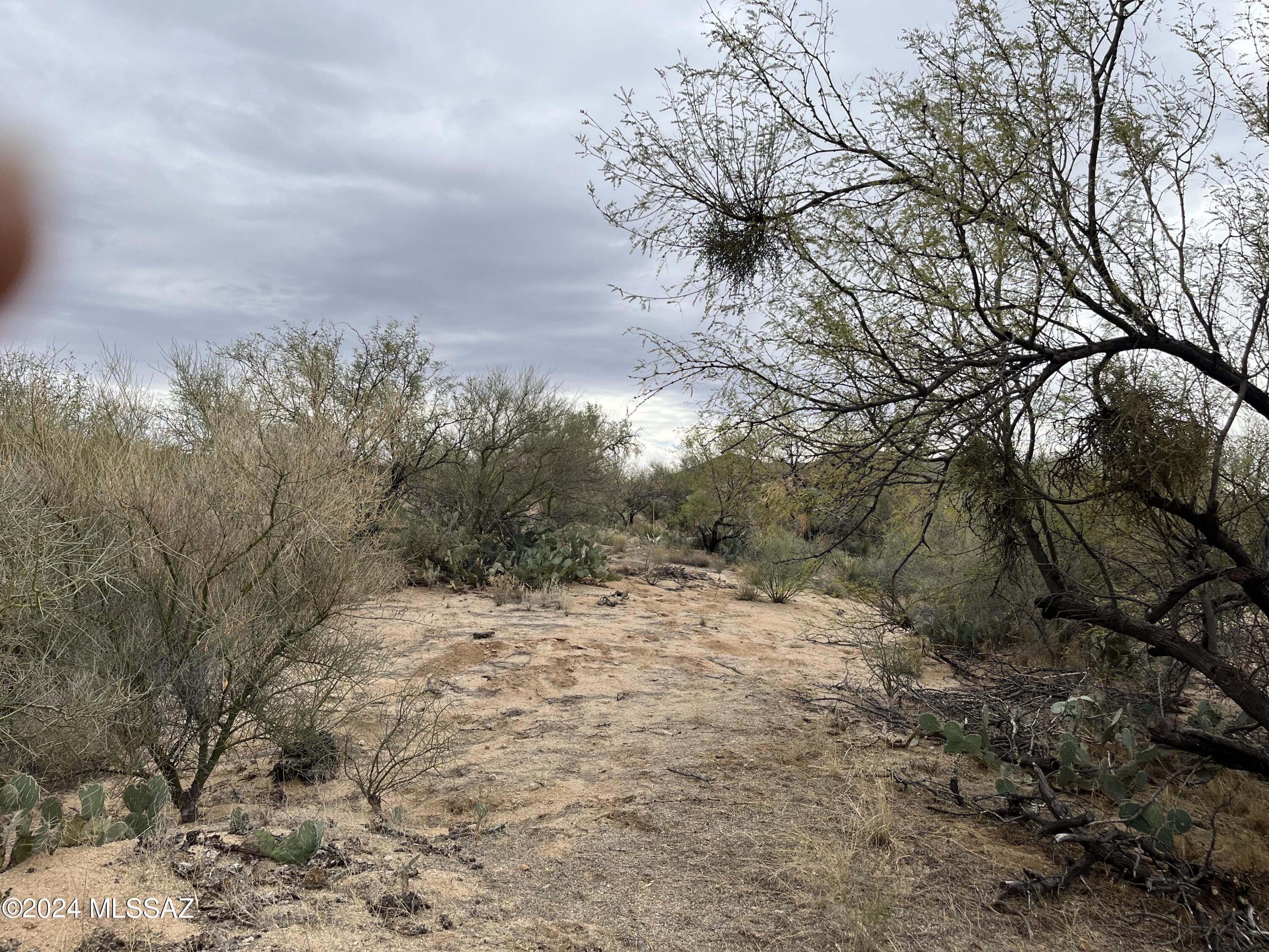 Diamond Bell Ranch - Tucson Unit 3 (1-409) - Land