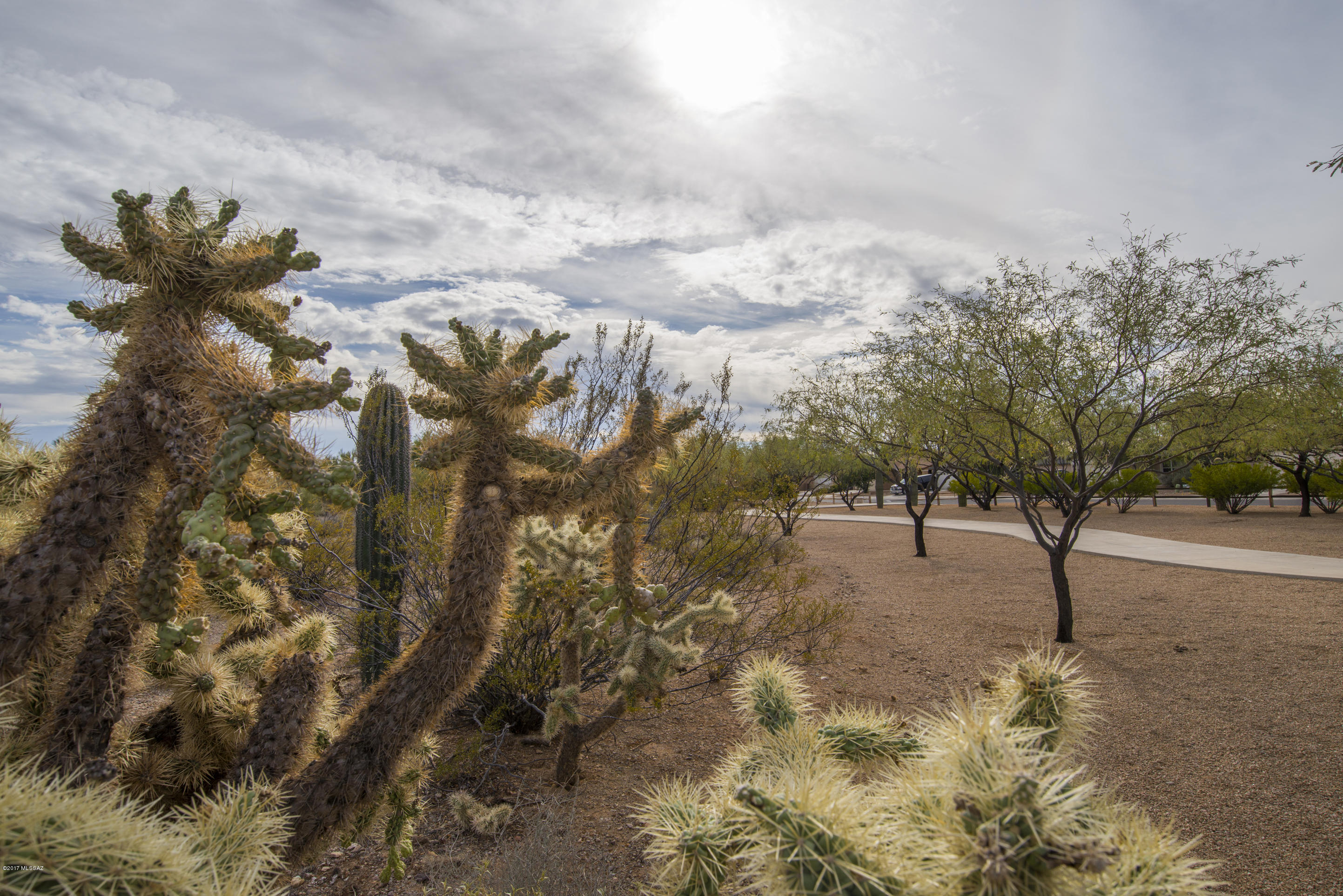 Tucson Mountain Sanctuary (1-154) - Residential
