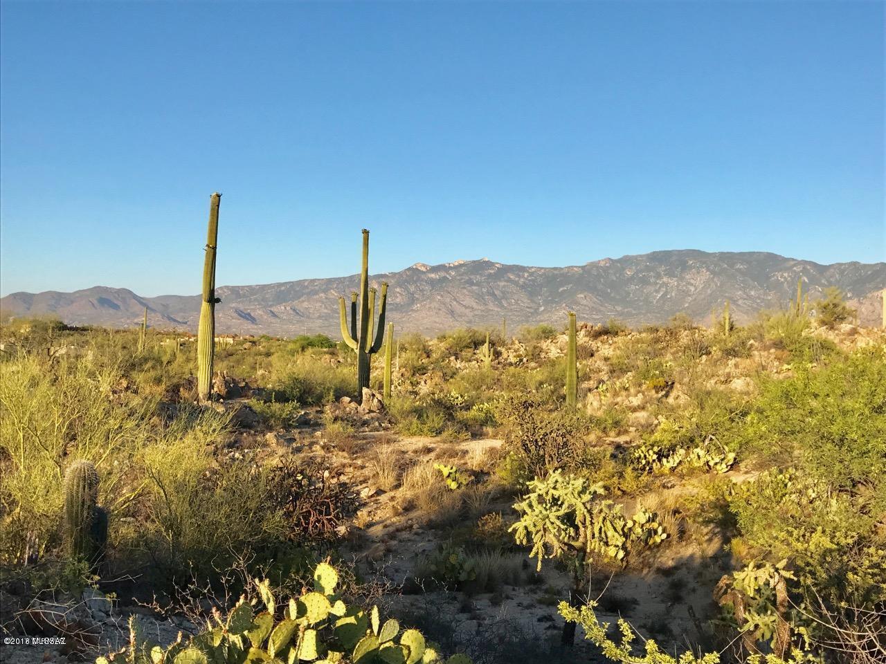 Honey Bee Canyon Estates - Land