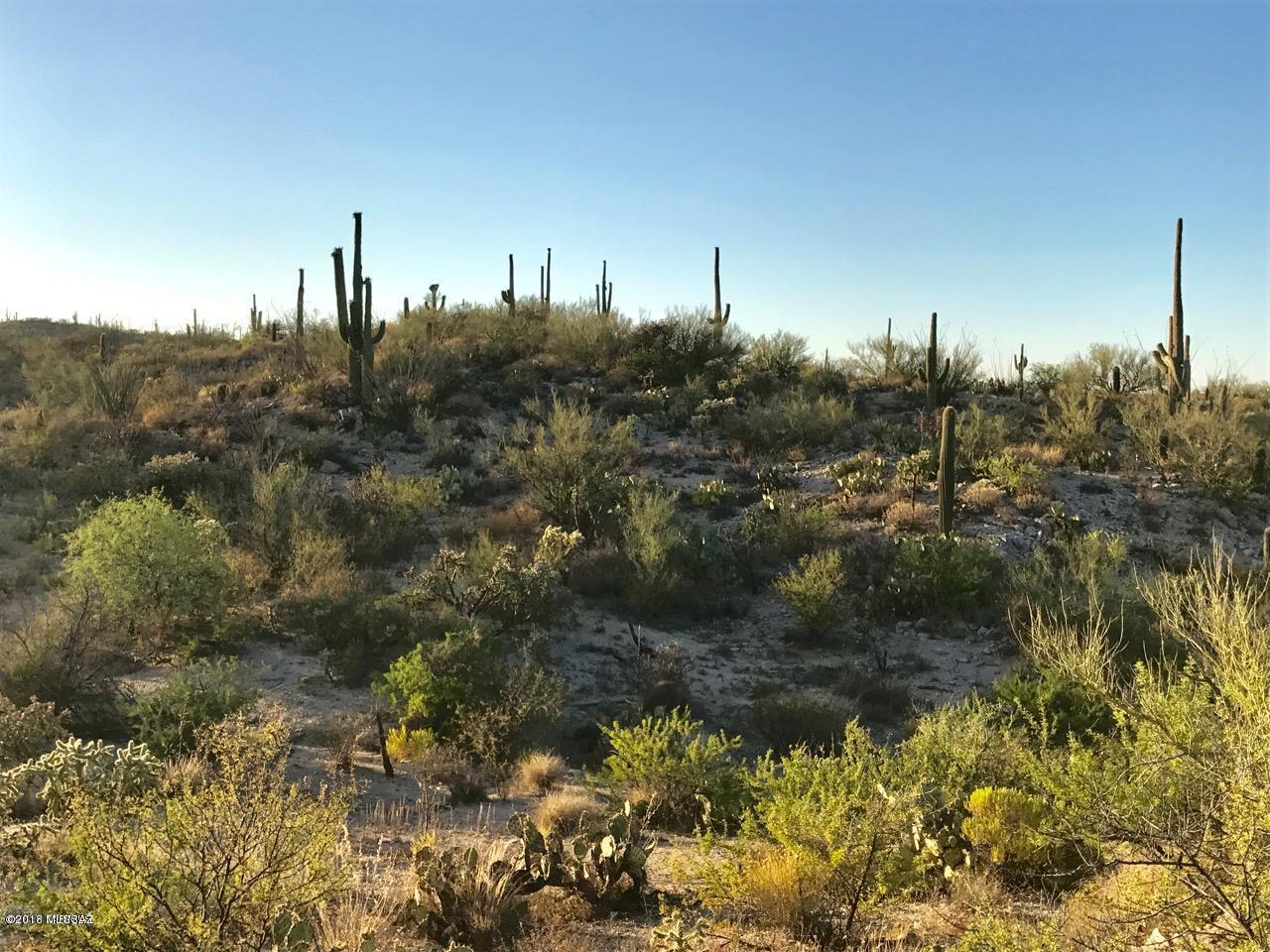 Honey Bee Canyon Estates - Land