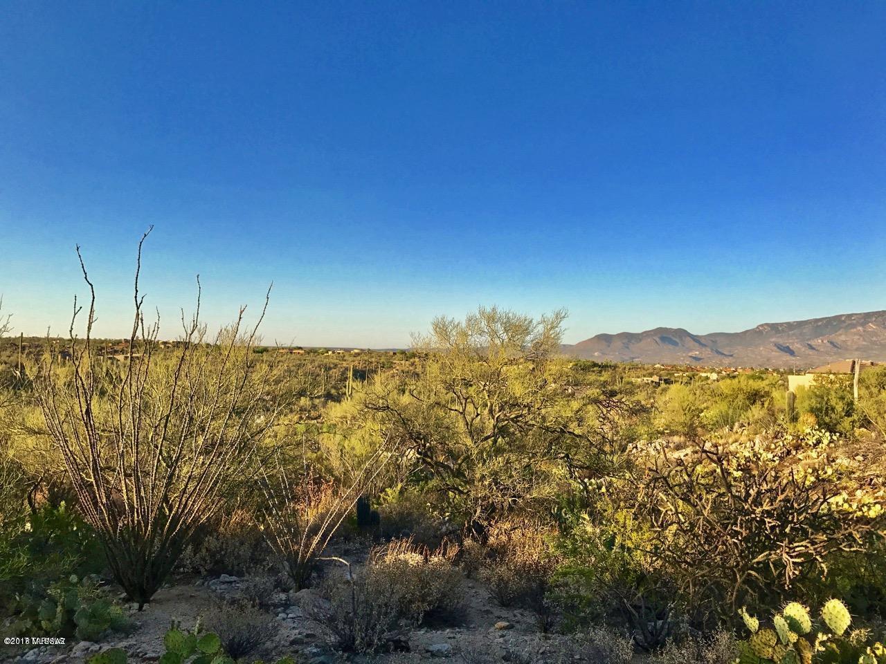 Honey Bee Canyon Estates - Land