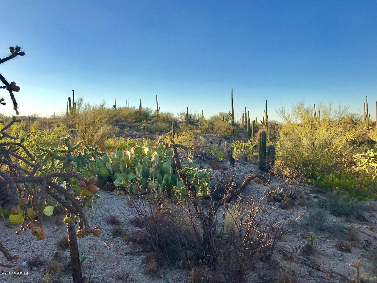 Honey Bee Canyon Estates - Land