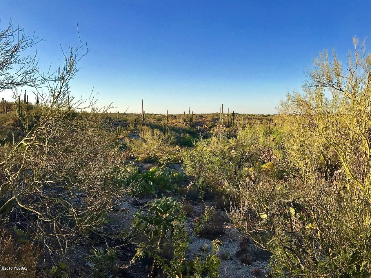 Honey Bee Canyon Estates - Land