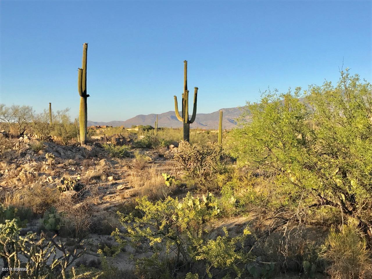 Honey Bee Canyon Estates - Land