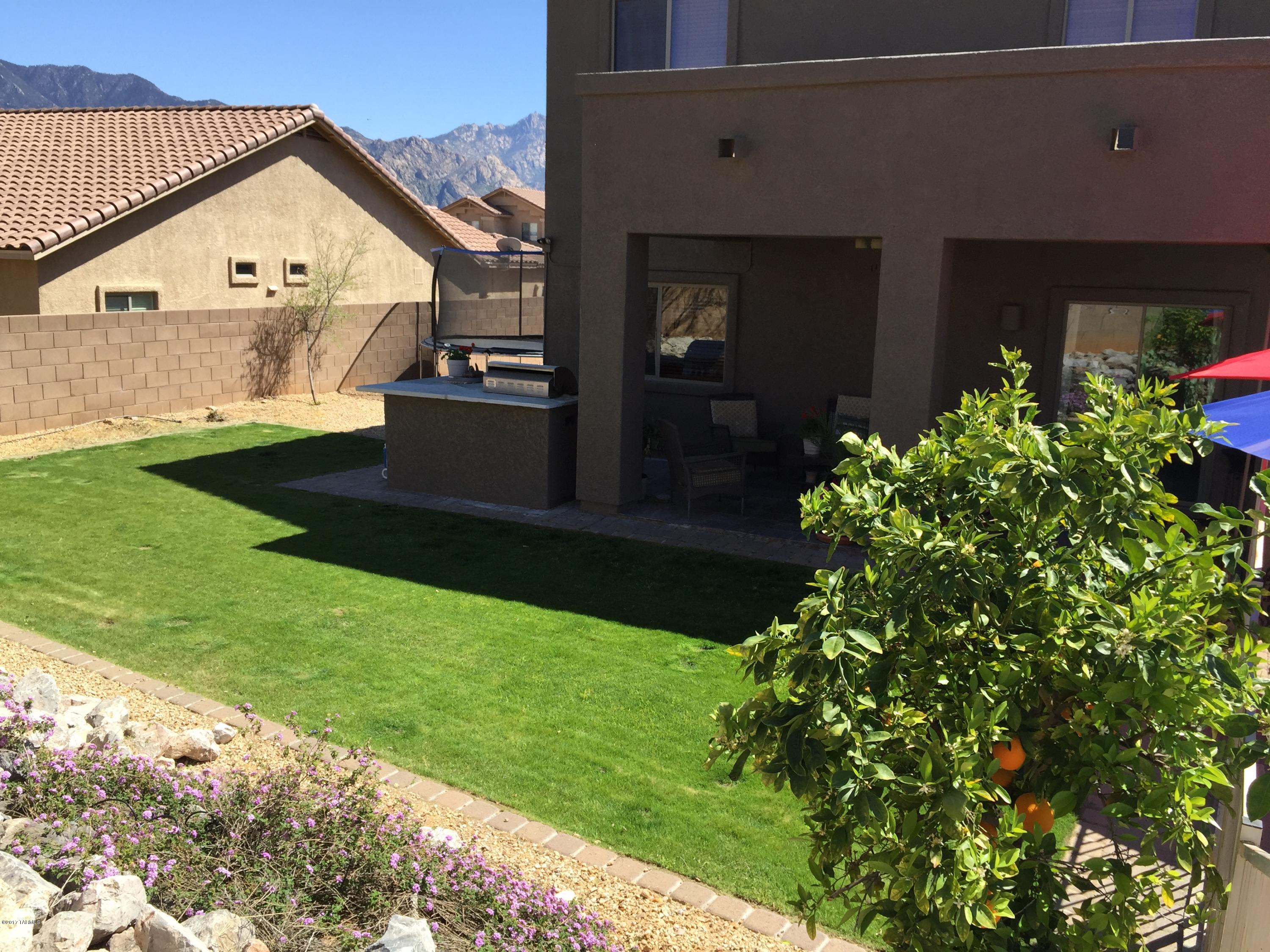 Black Horse (1-411) - Residential
