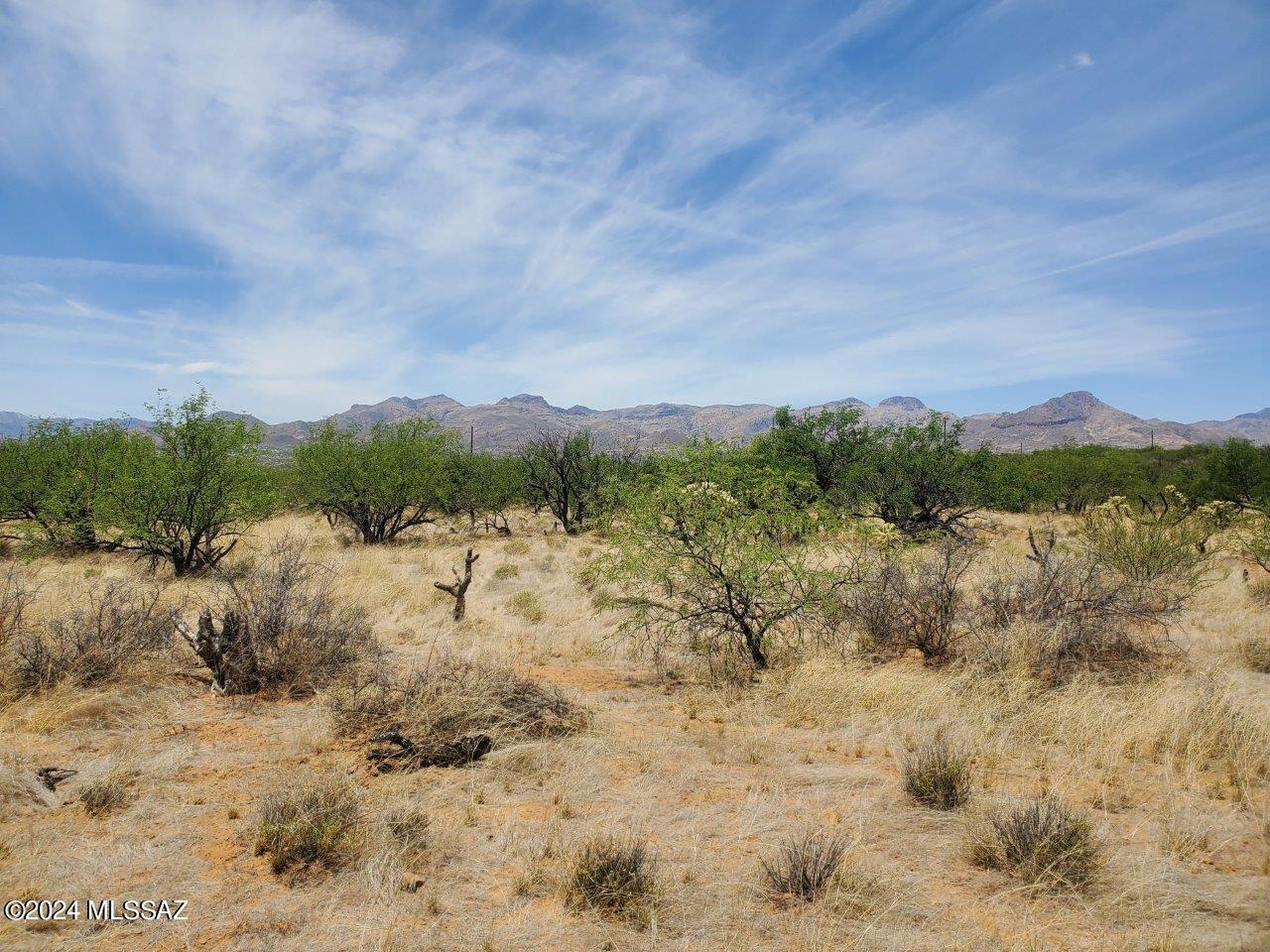 Rio Rico Estates 16 - Land